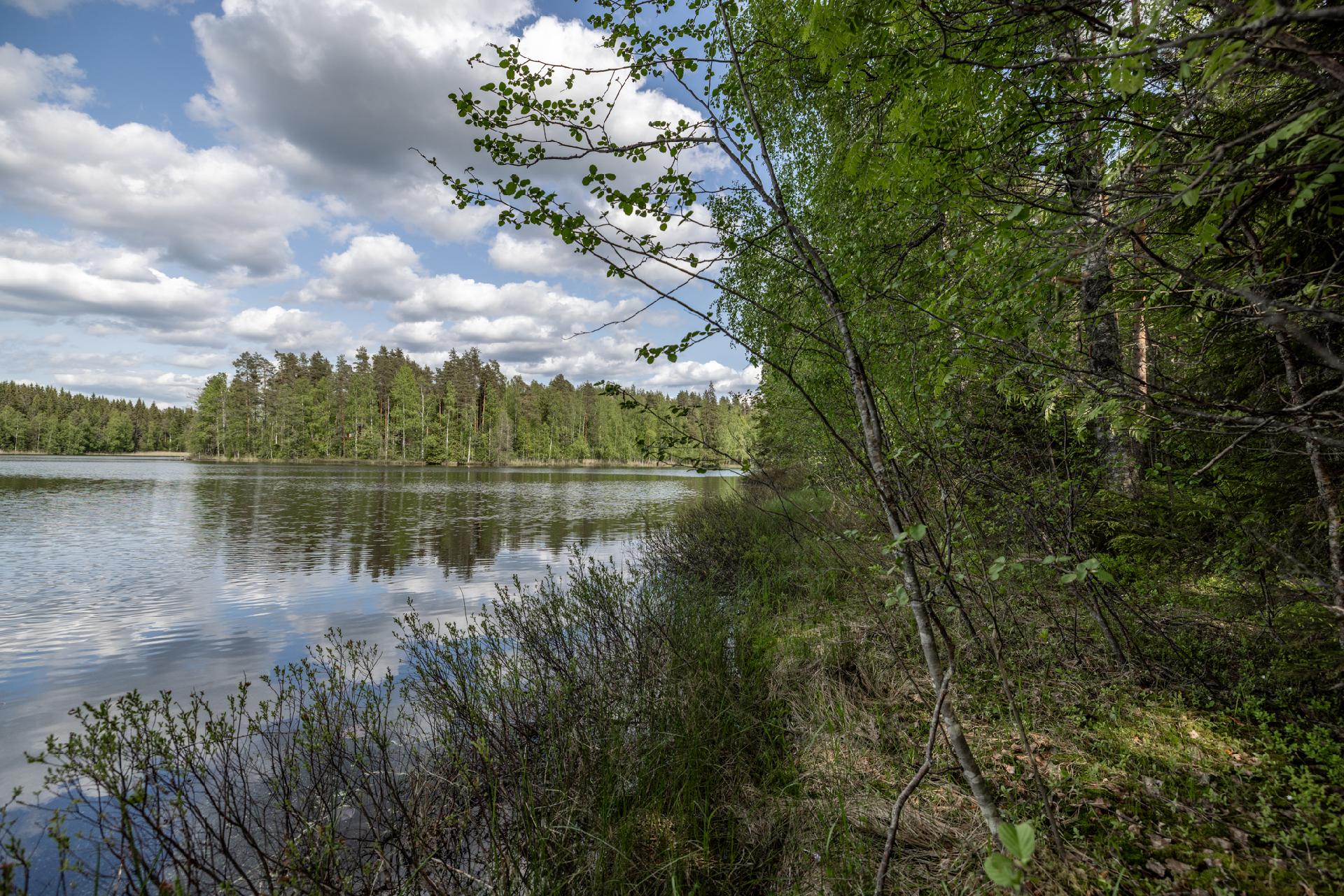 Kaidanniementie - rakennustontti, Mäntyharju
