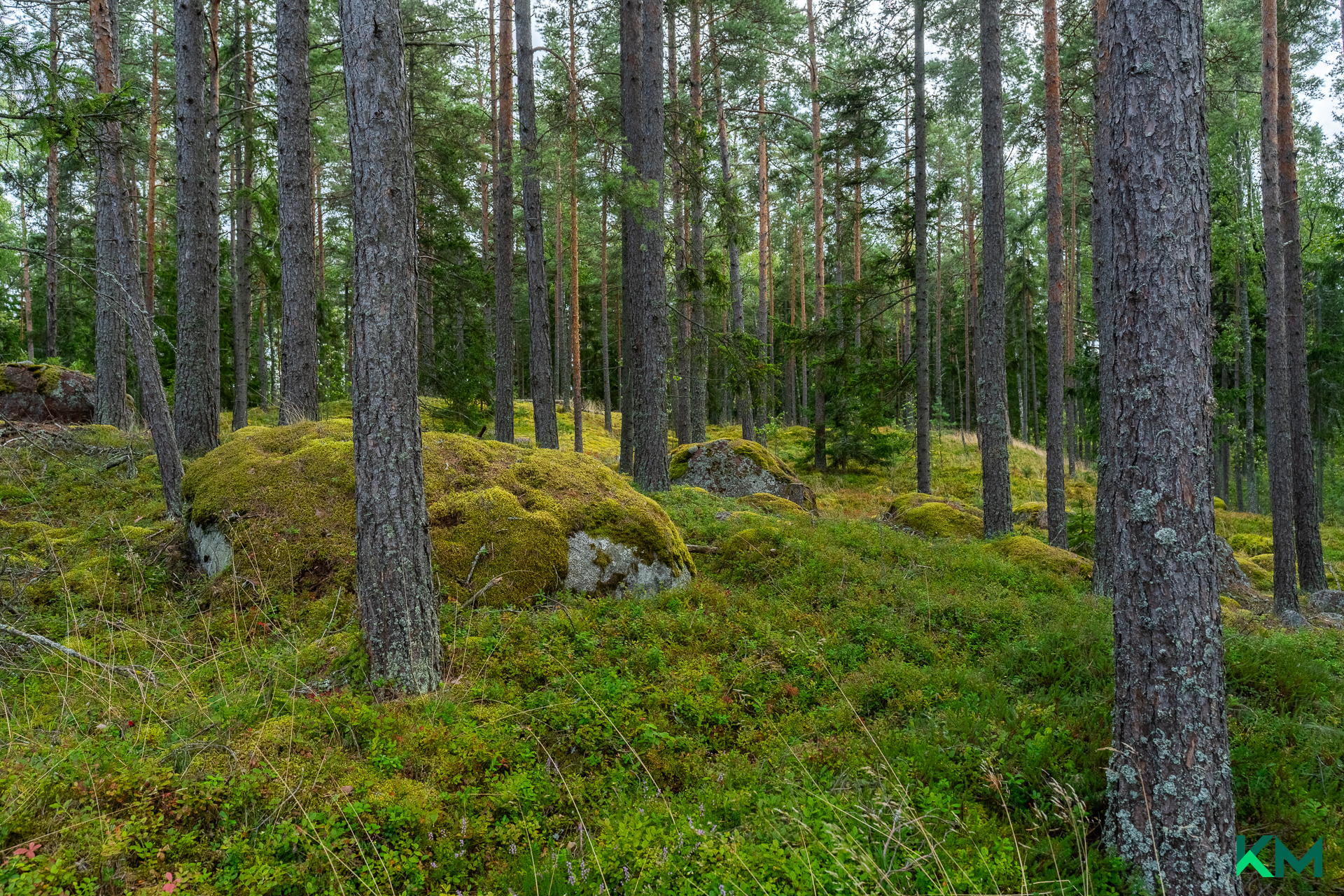 Onas 1, Onas, Porvoo