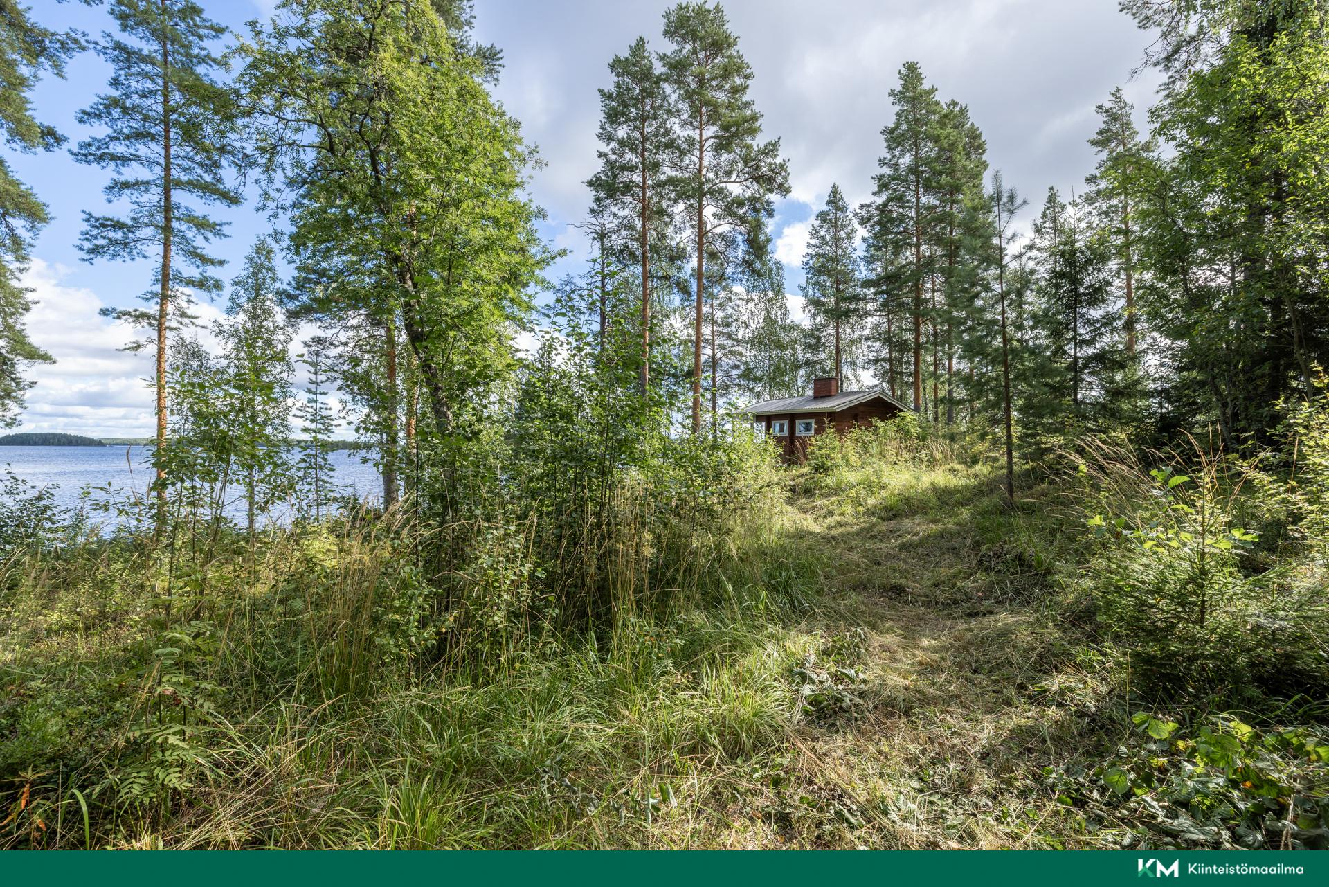 Elniementie 60, Hirvensalmi