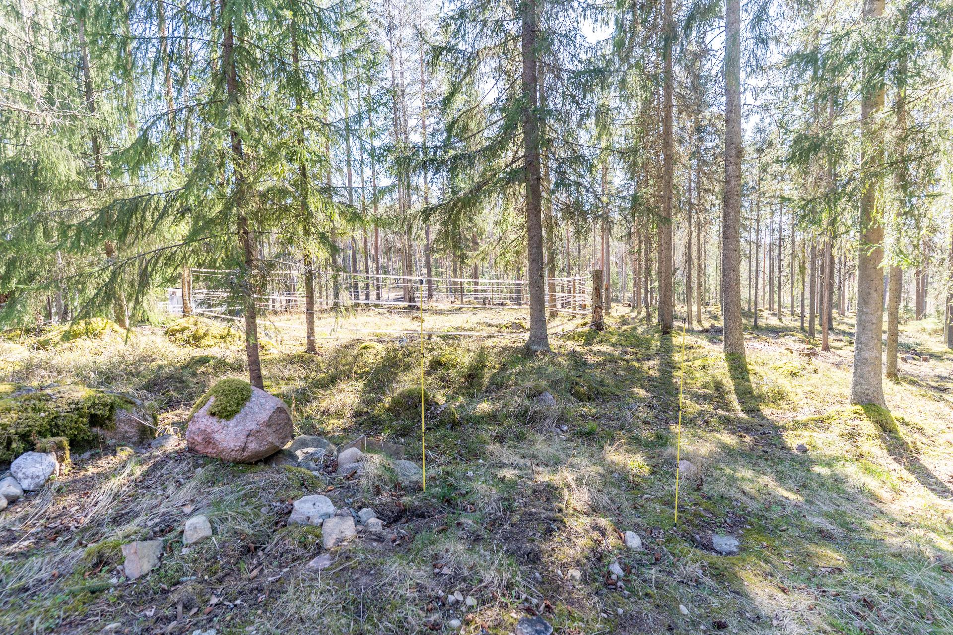 Taivaskalliontie 12, Selki, Vihti