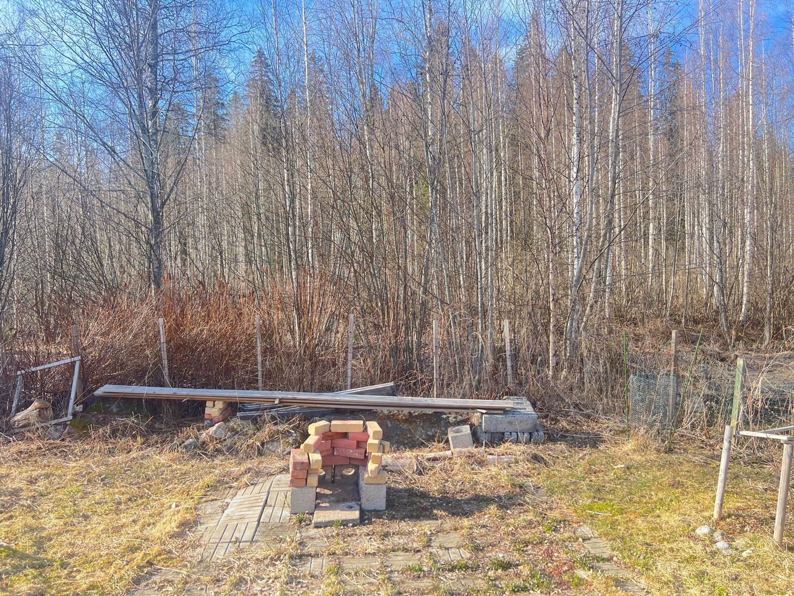 palsta rajoittuu luonnon alueeseen