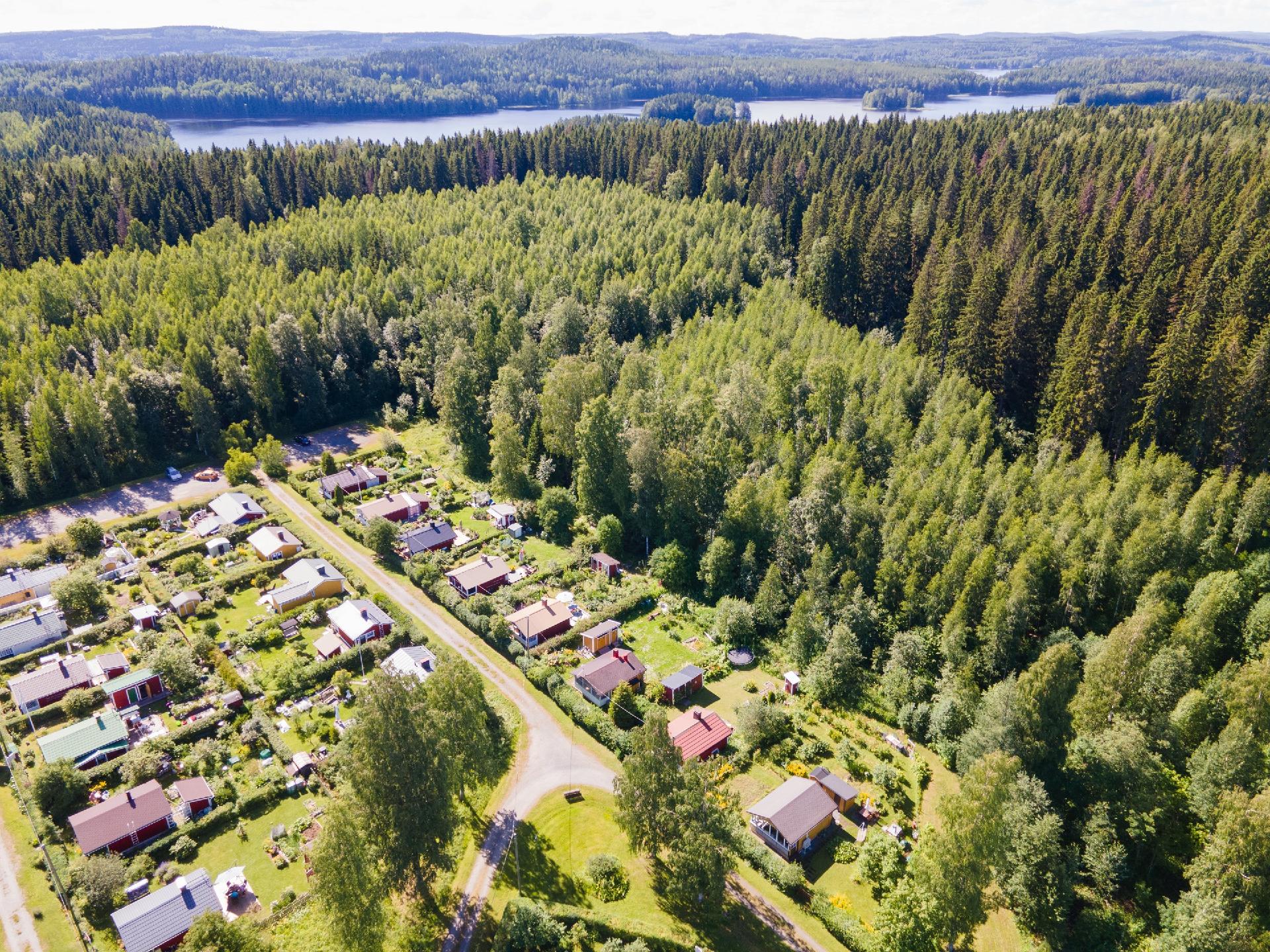 mökki piha rajoittuu metsään