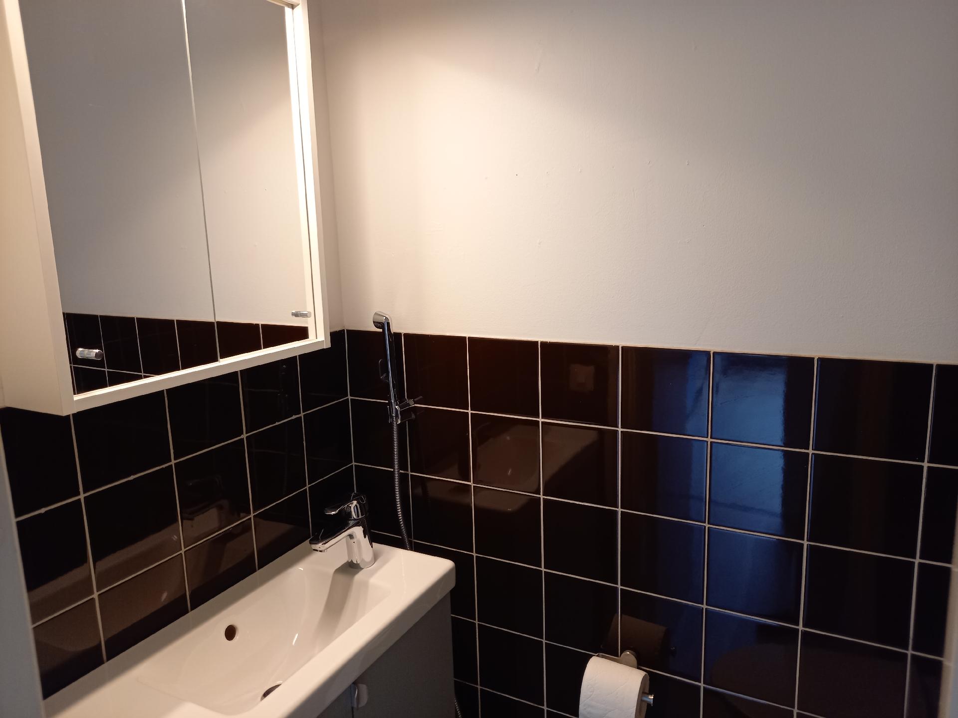 Erillinen wc