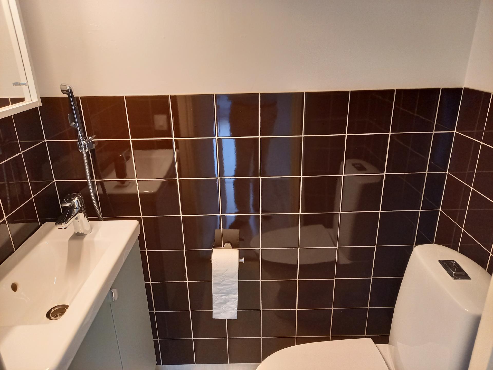 Erillinen wc