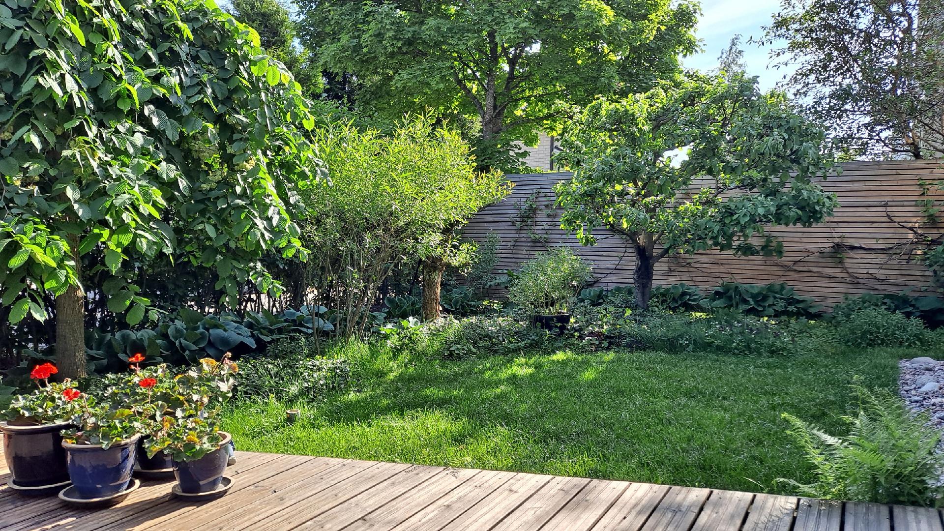 Ollilantie 18, Tapaninvainio, Helsinki