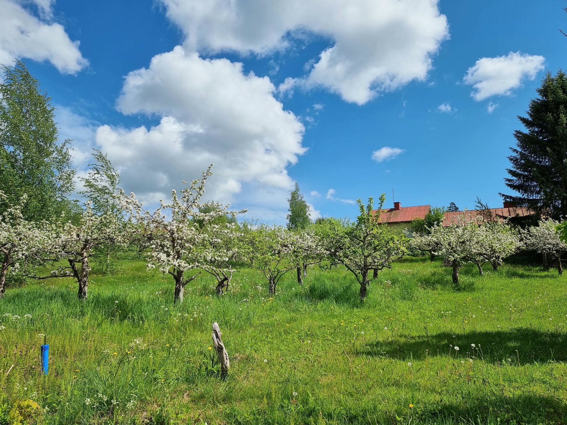 Honkalantie 13, Vappula, Lohja