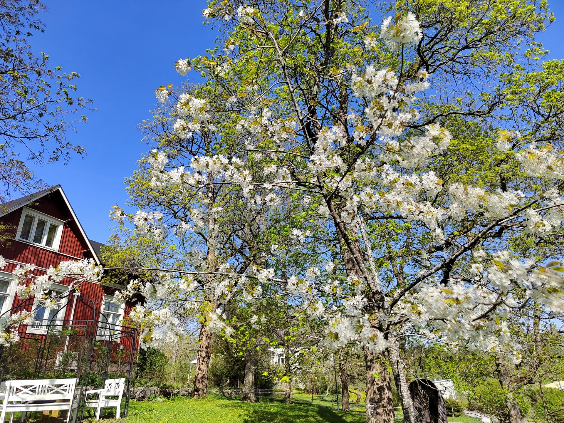 Sarvvikinpiha 5, Sarvvik, Kirkkonummi