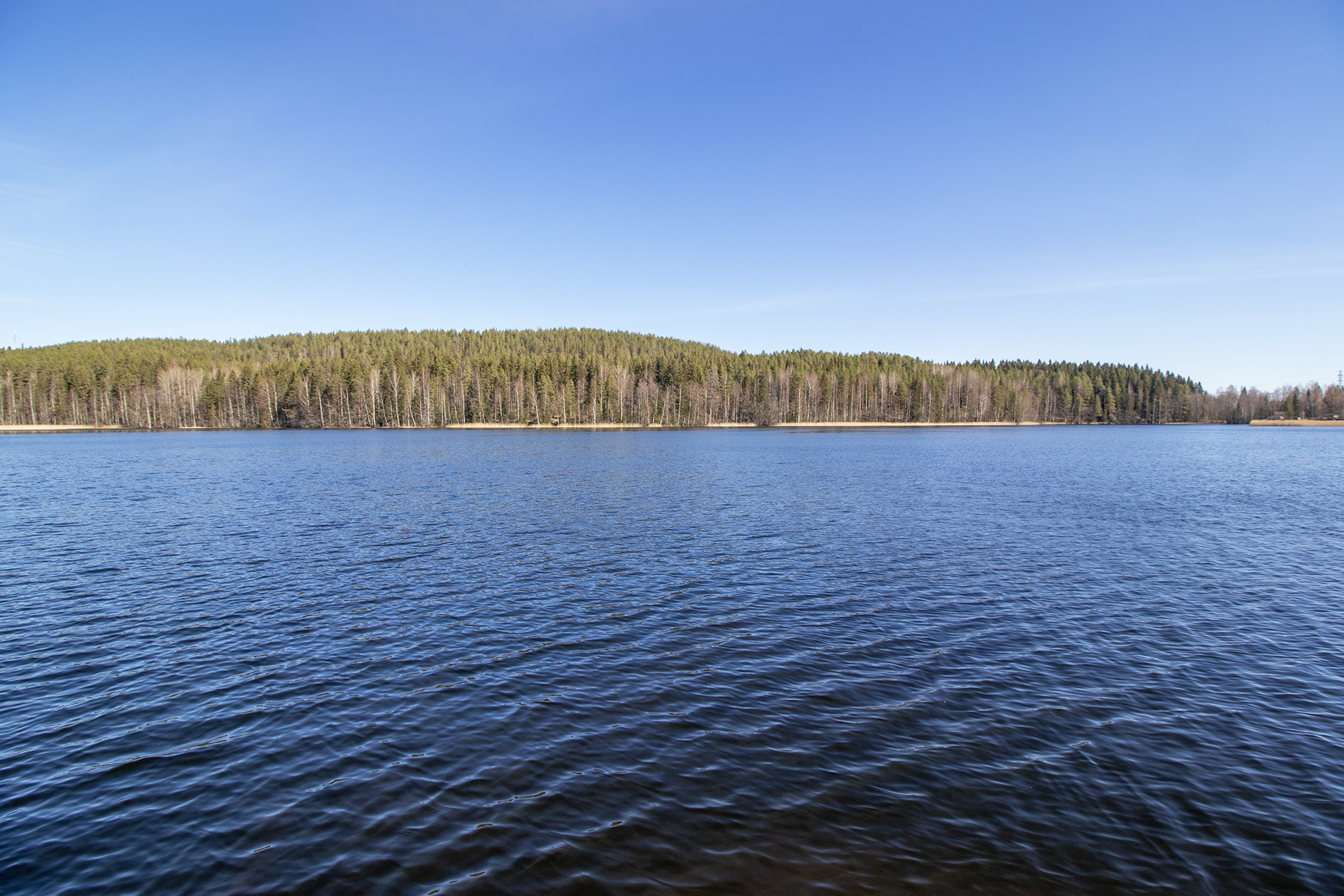 Hedelmäsoppi 11, Kolmisoppi, Kuopio