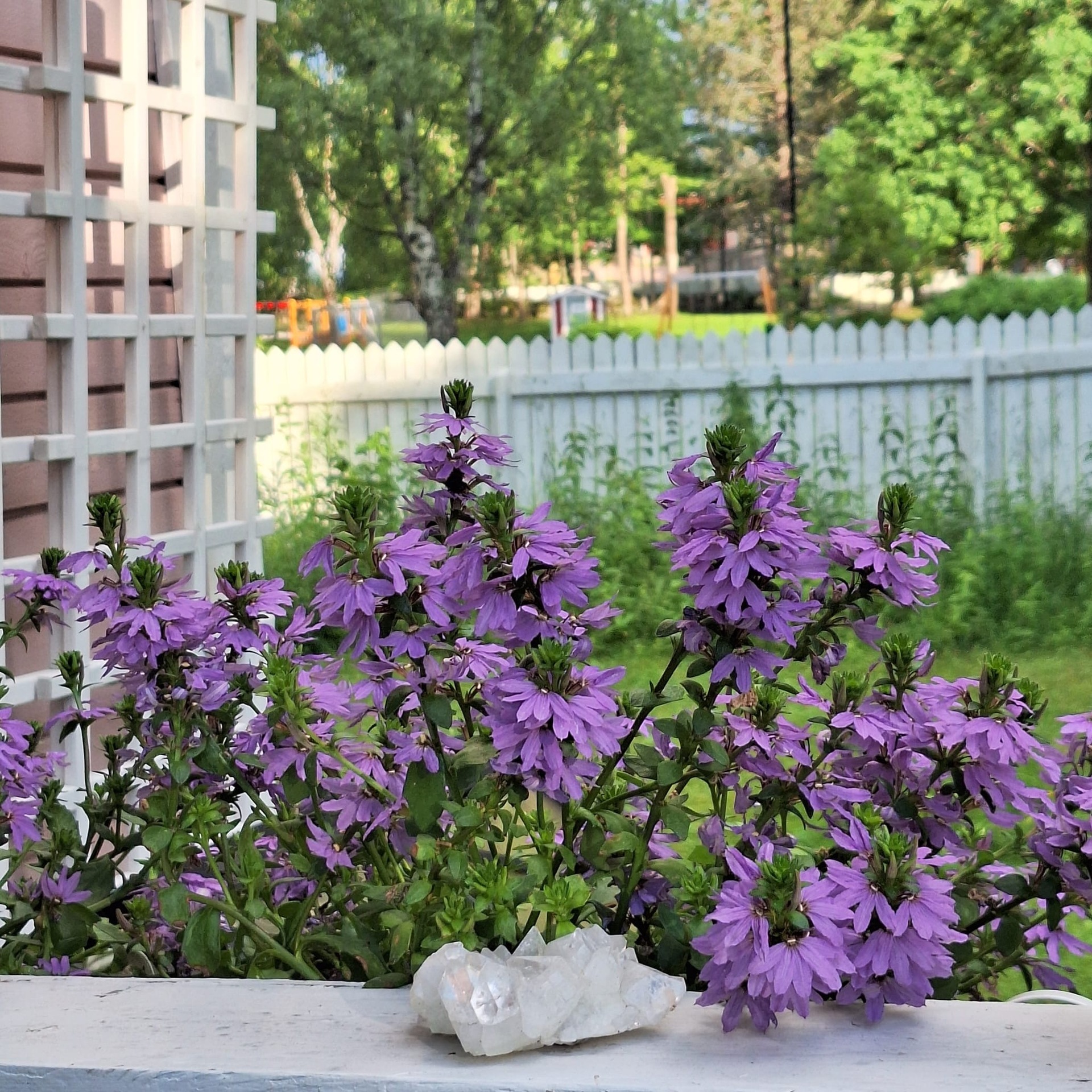 Wadenströminkuja 19, Pappilanmäki, Porvoo