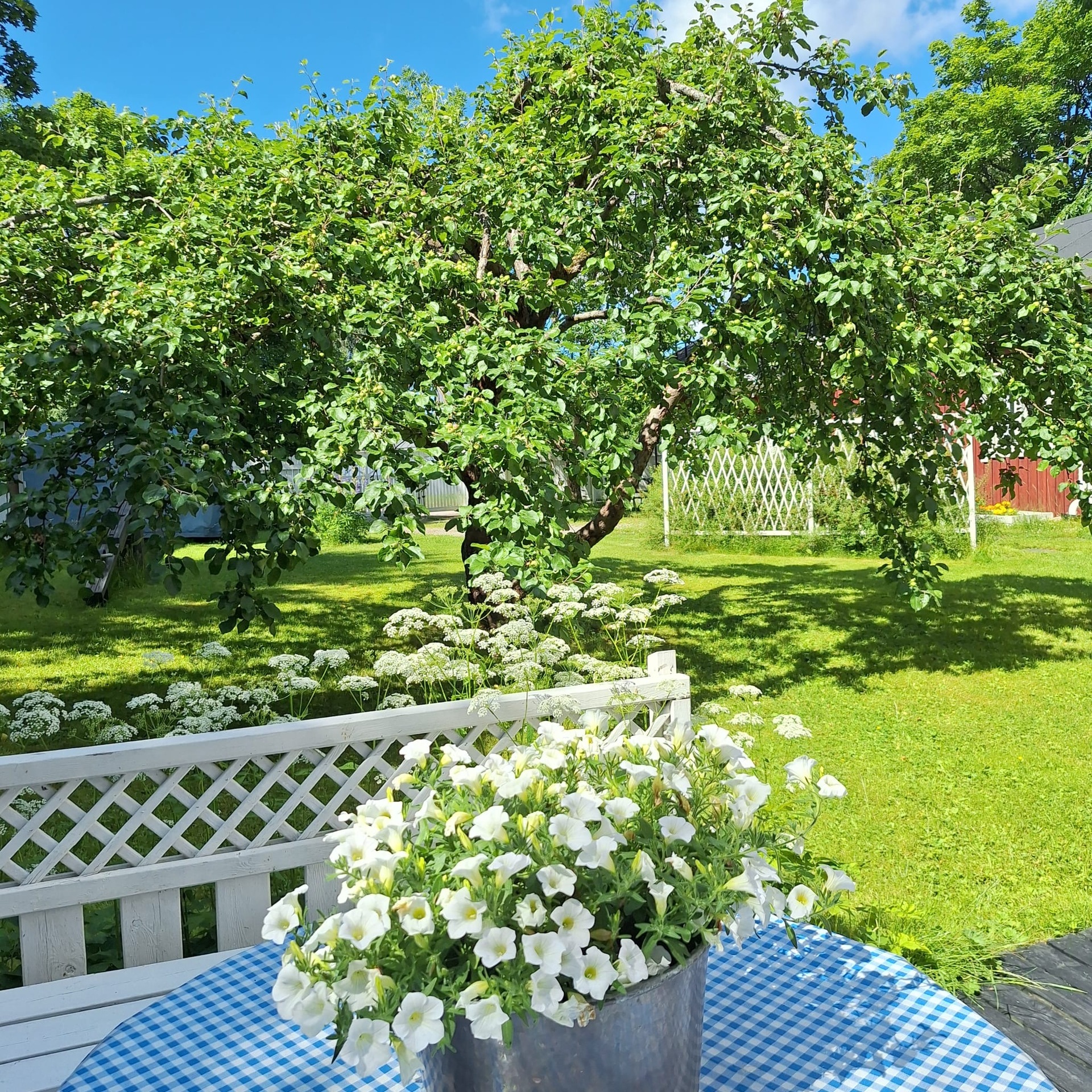 Wadenströminkuja 19, Pappilanmäki, Porvoo