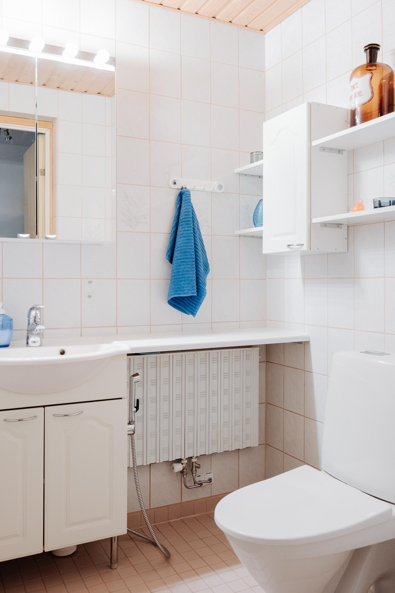 Erillinen wc