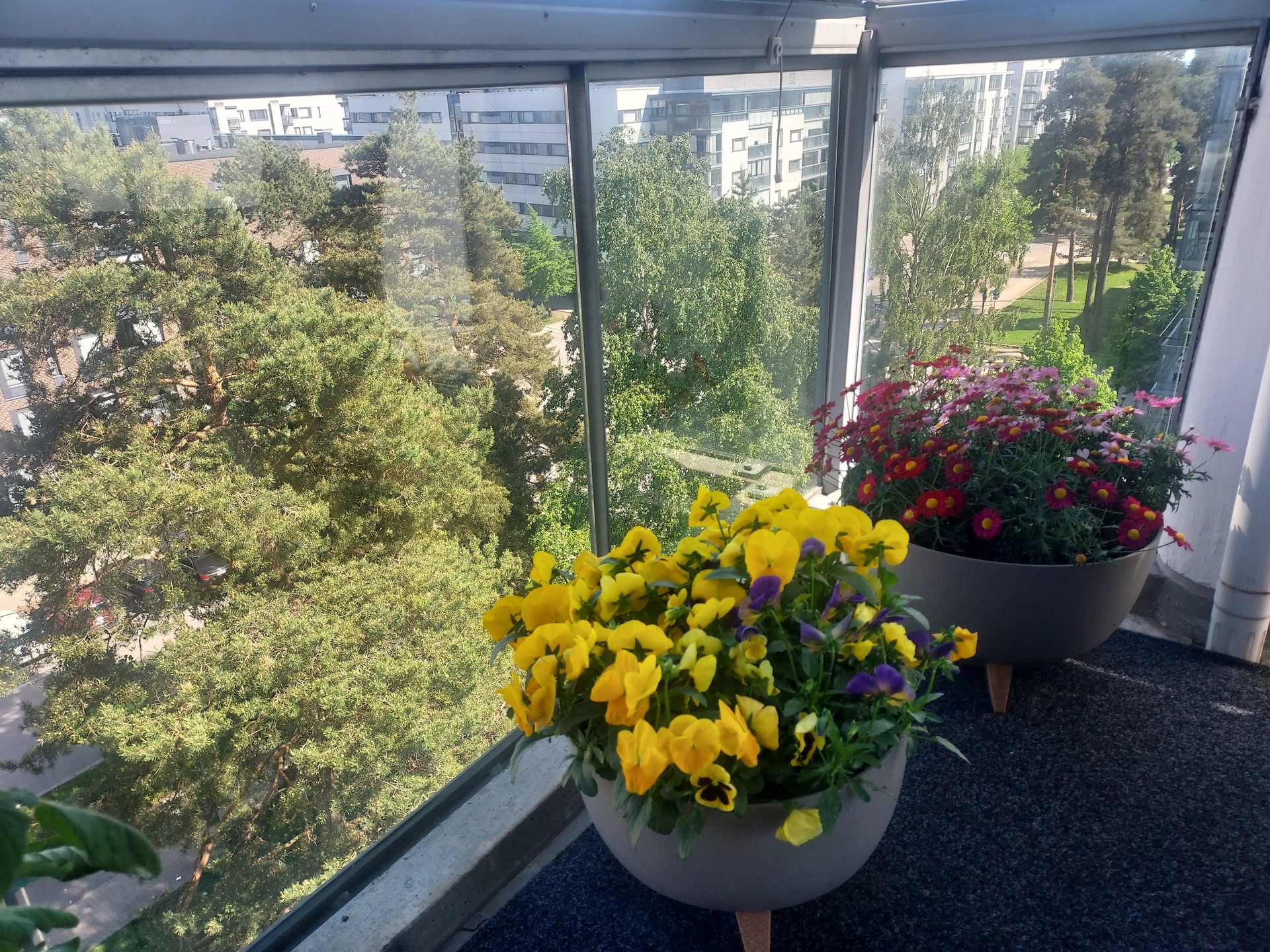 Parvekkeen ihanat kukat ja näkymät!