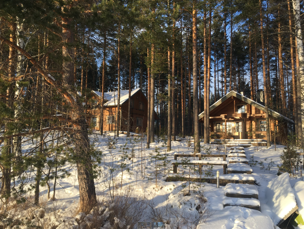 talvikuva