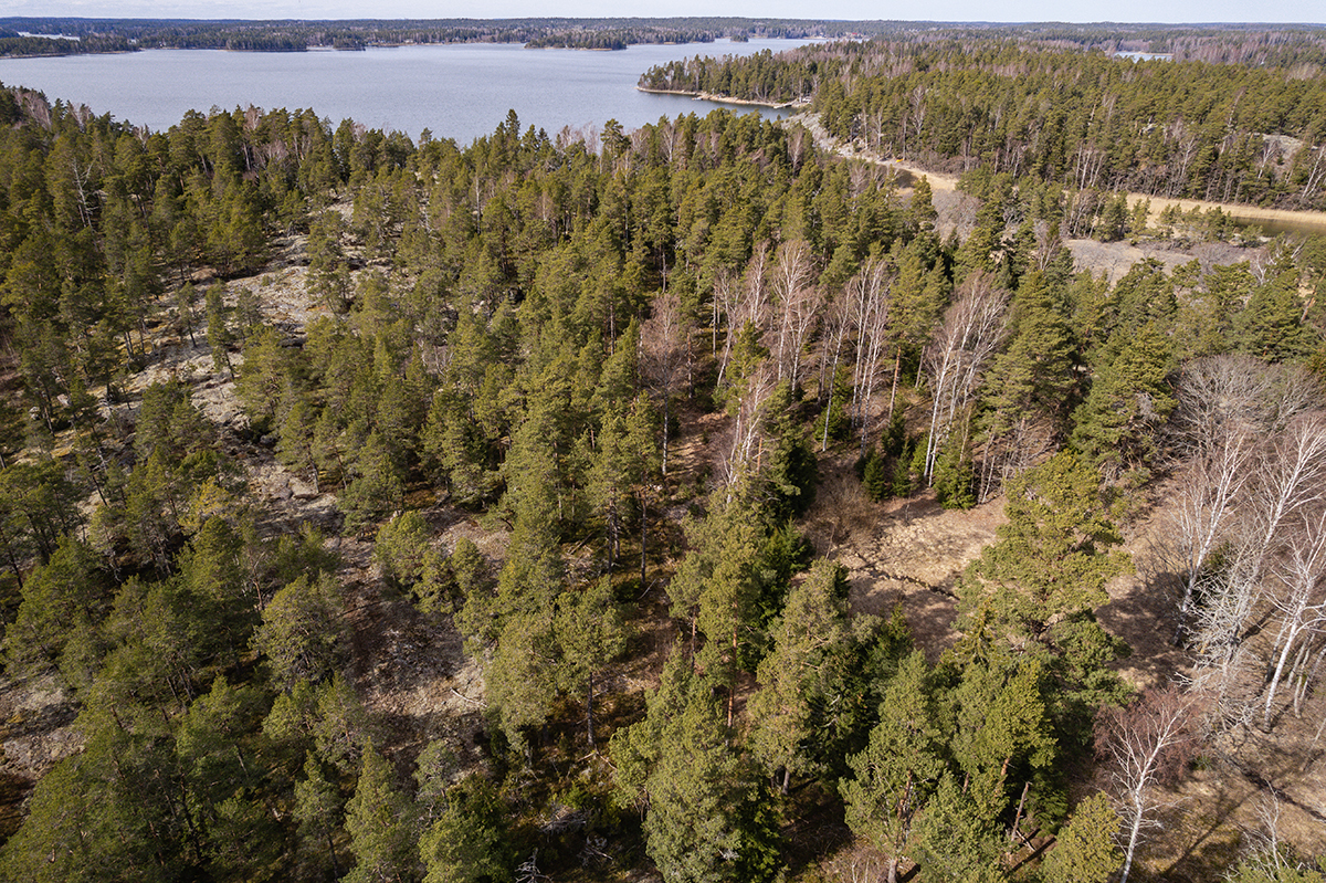 Södra Svartö 1, Degerö, Inkoo