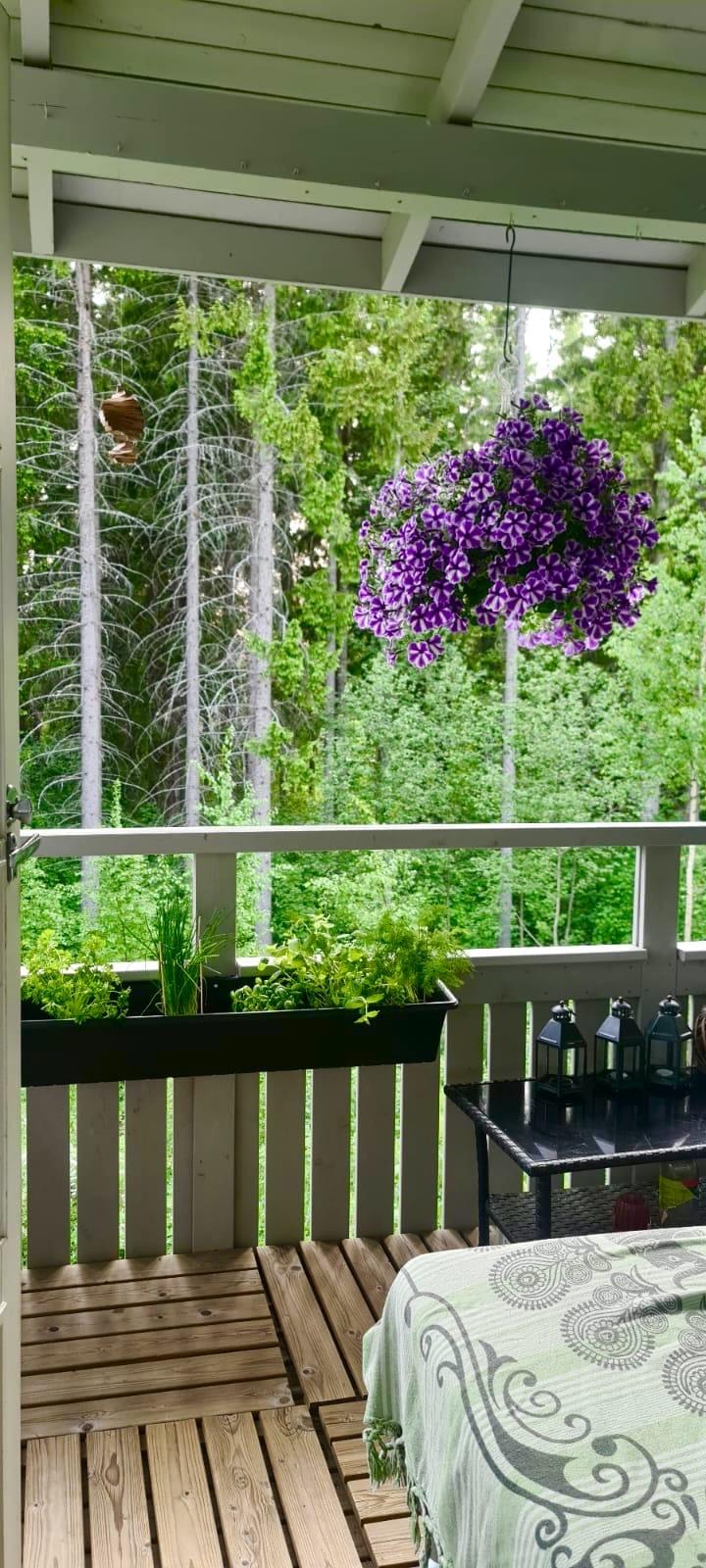 kesäkuva parvekkeelta