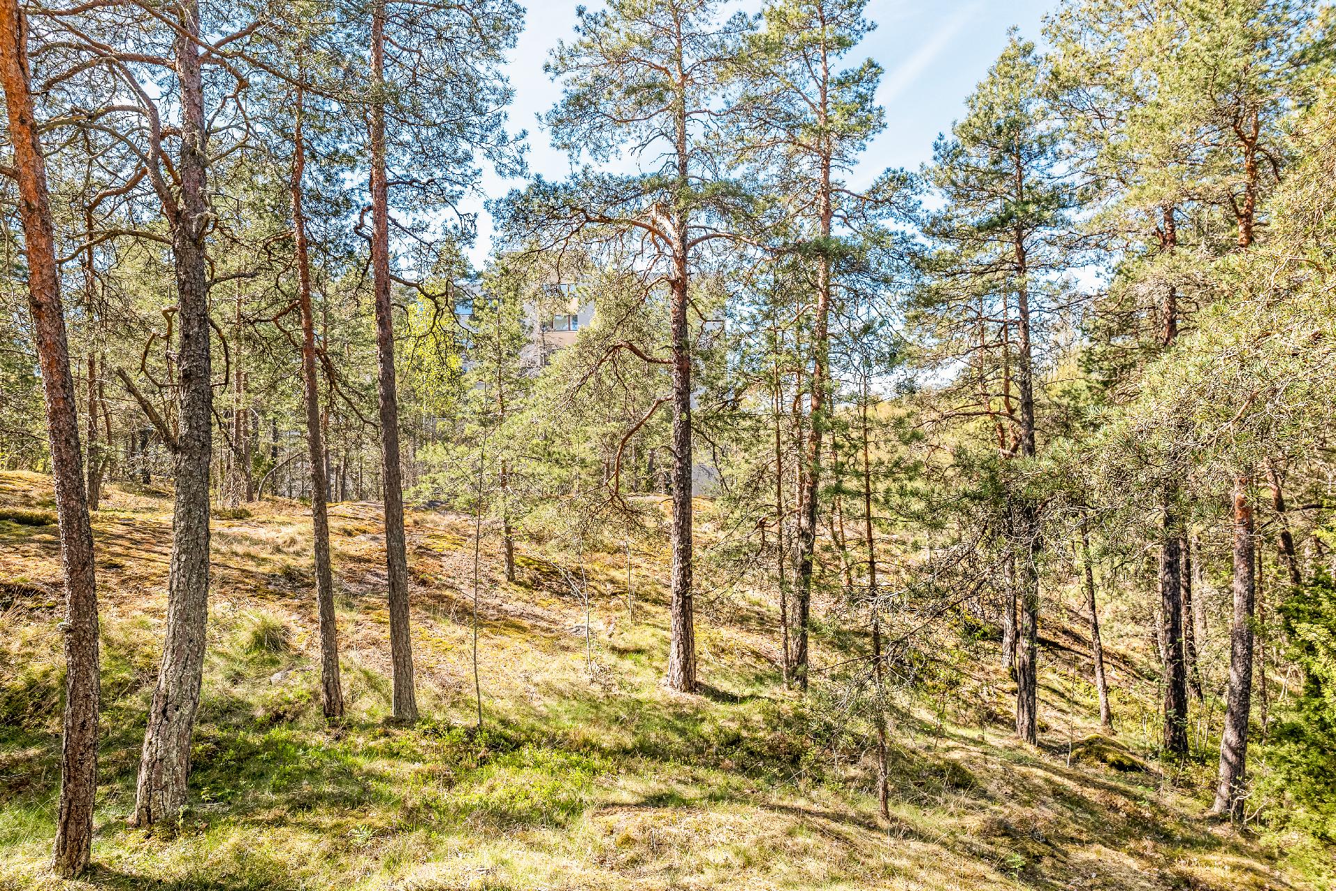 Parvekkeelta rauhallinen näkymä
