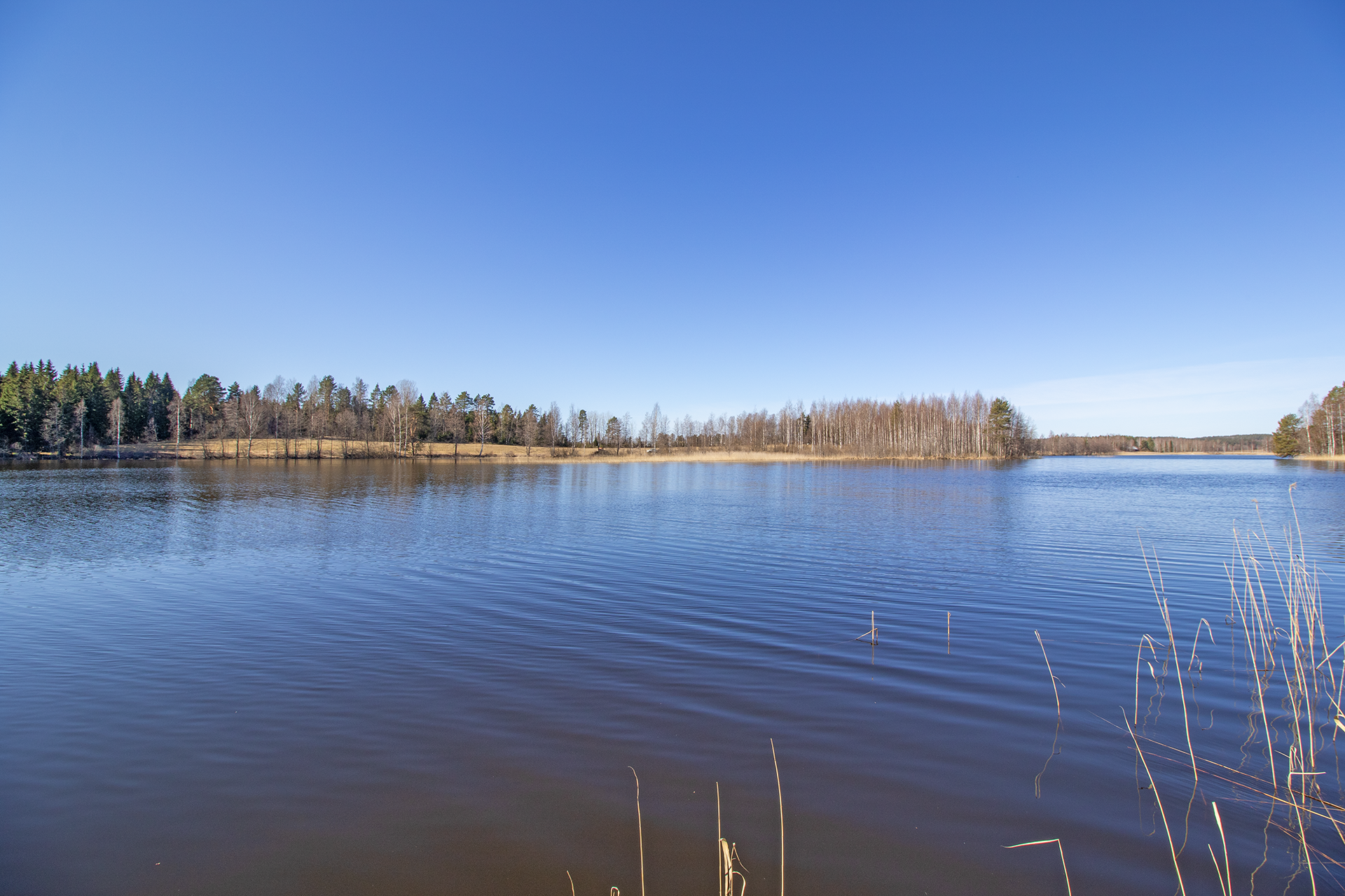 Järvimaisemaa länteen.