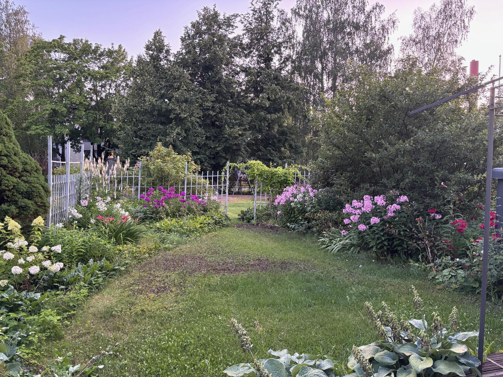 Laajakorvenkuja 4, Martinlaakso, Vantaa