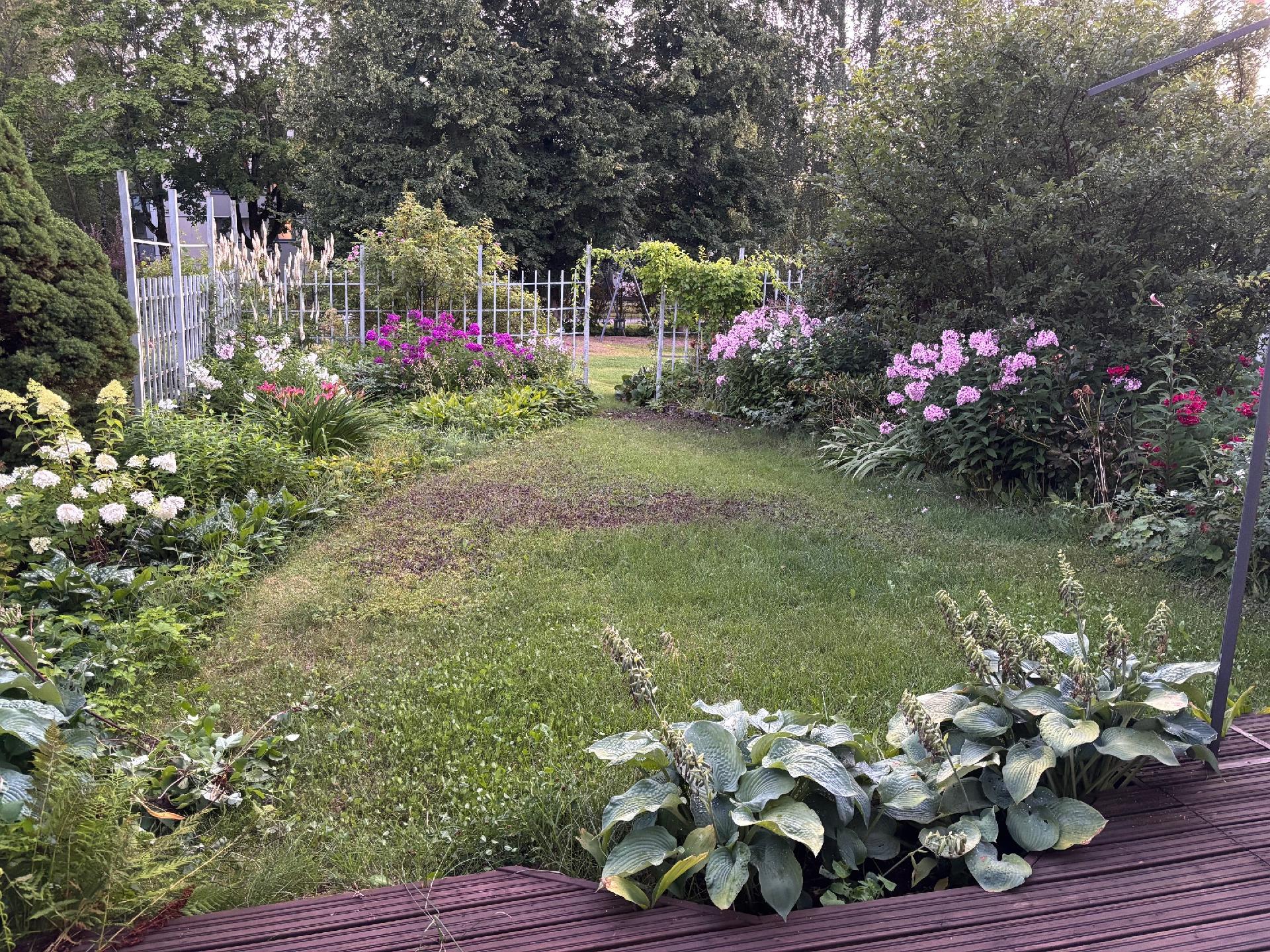 Laajakorvenkuja 4, Martinlaakso, Vantaa