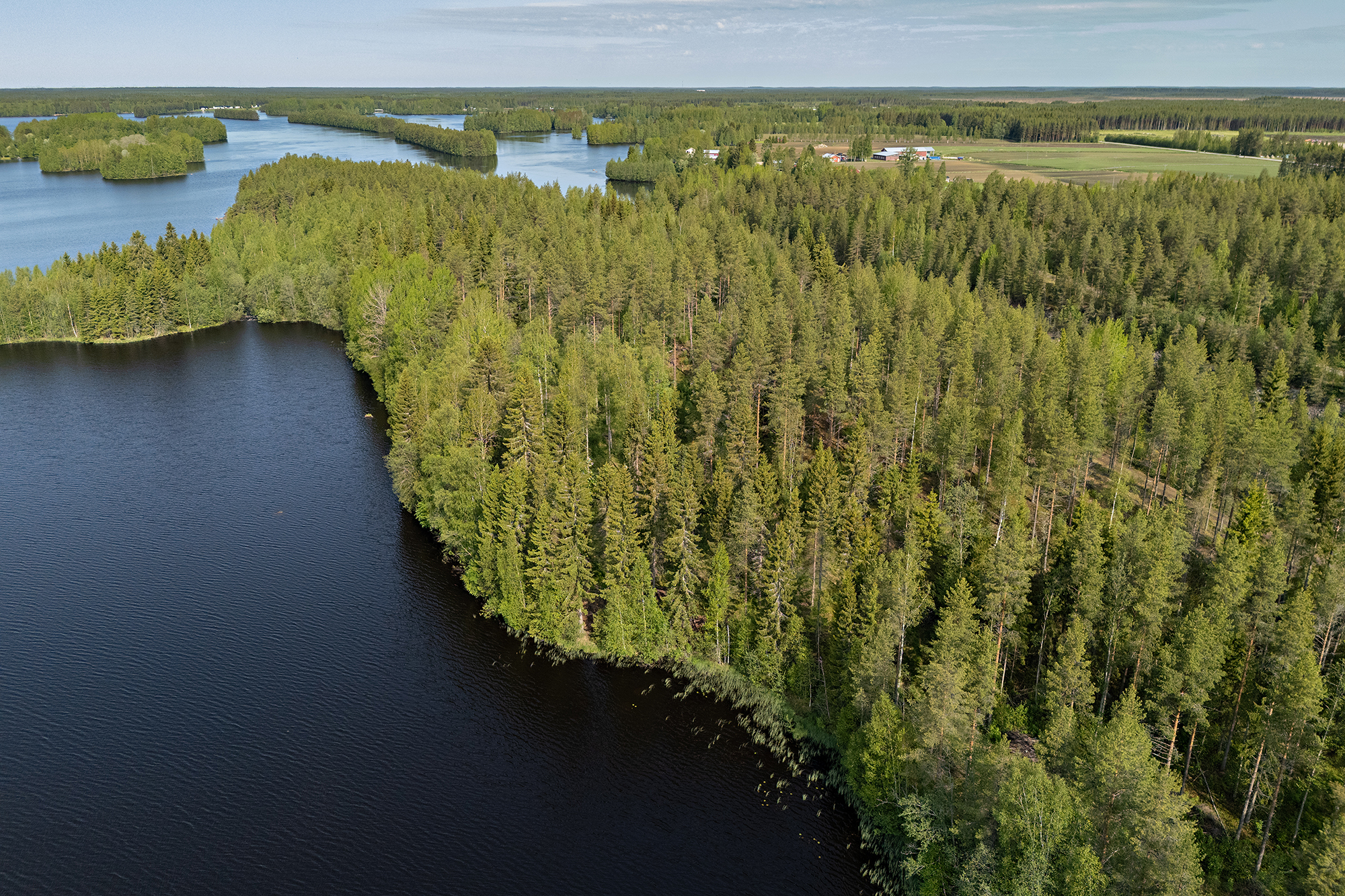 Ristiniementie 6, Sotkajärvi, Utajärvi
