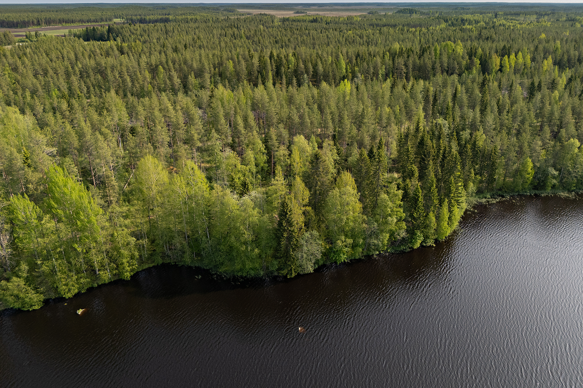 Ristiniementie 6, Sotkajärvi, Utajärvi