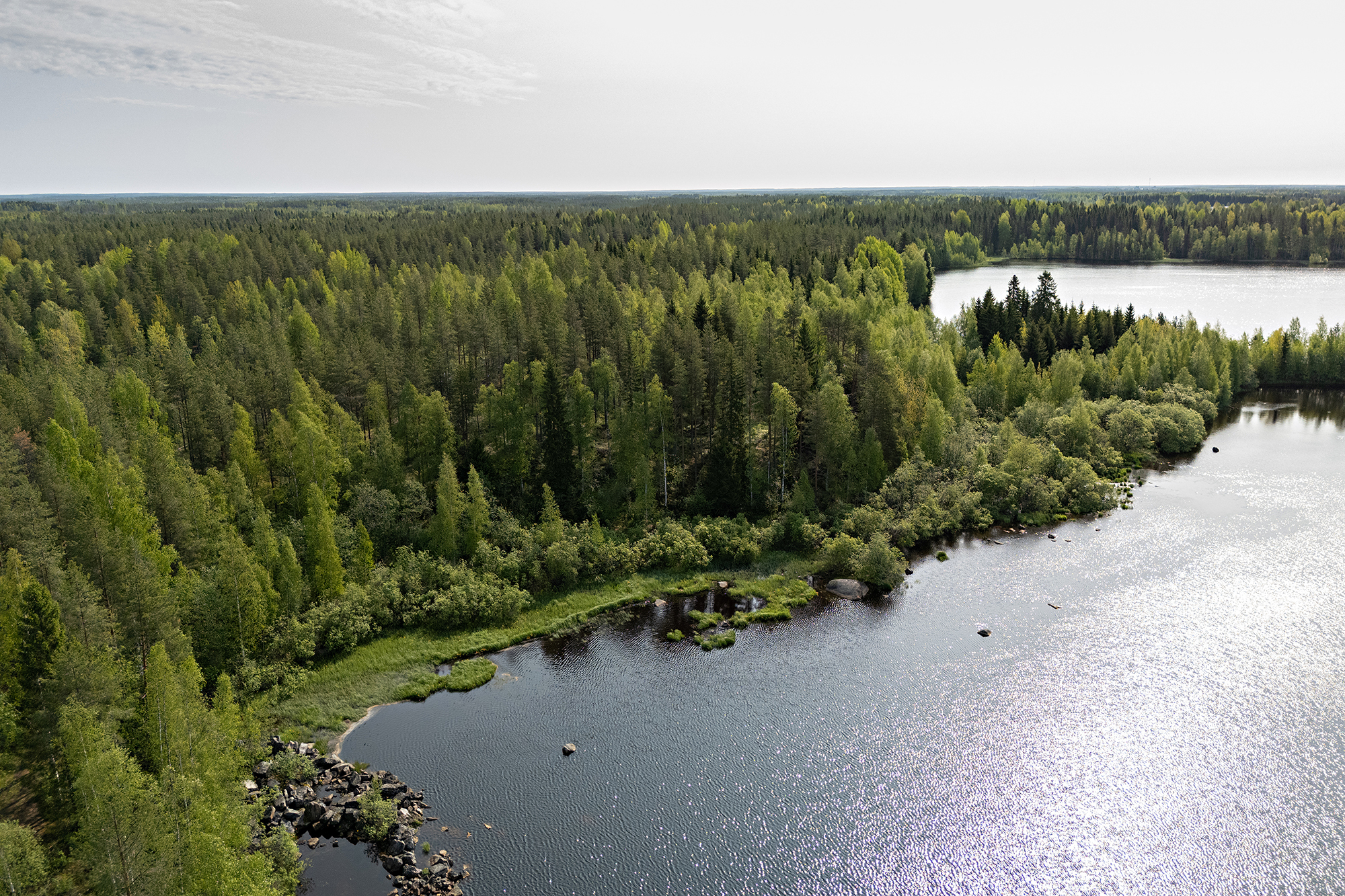 Ristiniementie 10, Sotkajärvi, Utajärvi