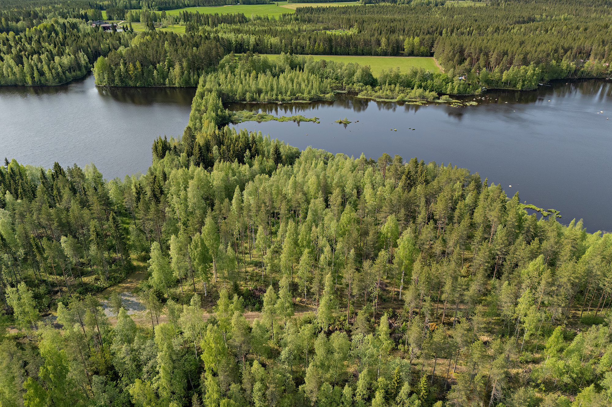 Ristiniementie 10, Sotkajärvi, Utajärvi