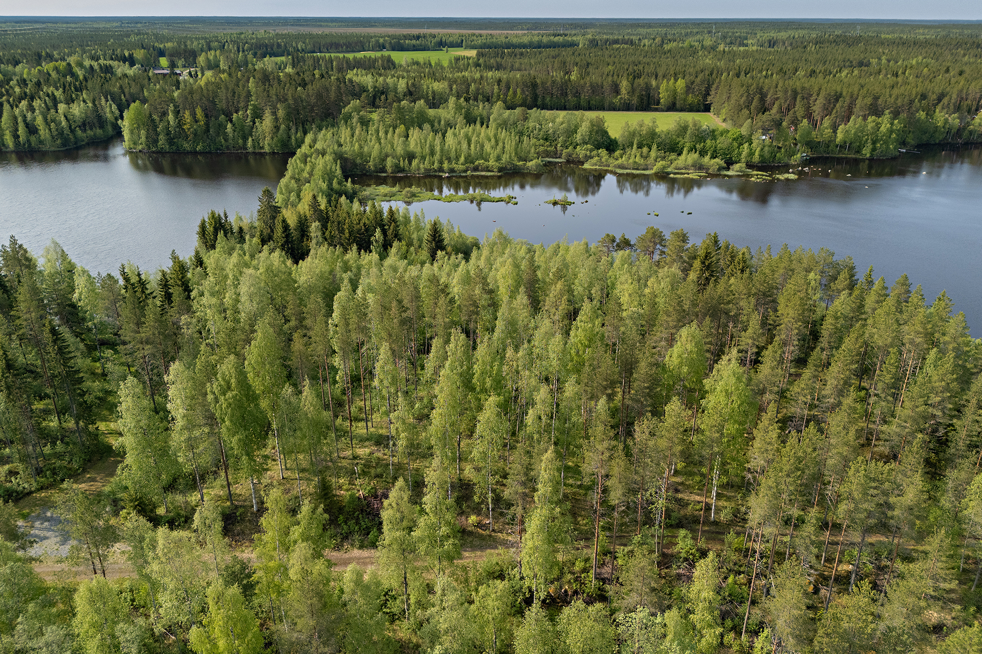 Ristiniementie 10, Sotkajärvi, Utajärvi