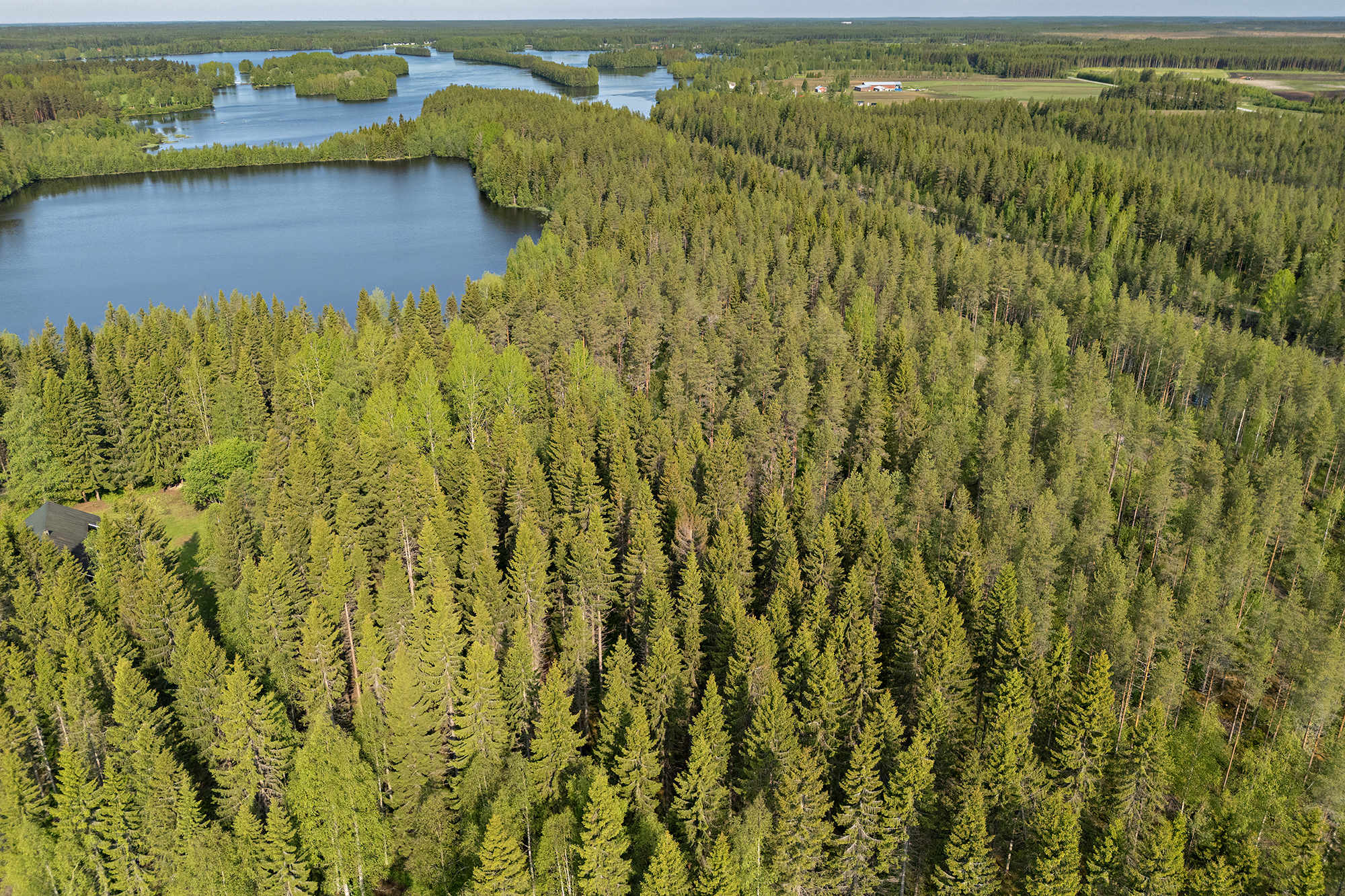 Ristiniementie 16, Sotkajärvi, Utajärvi