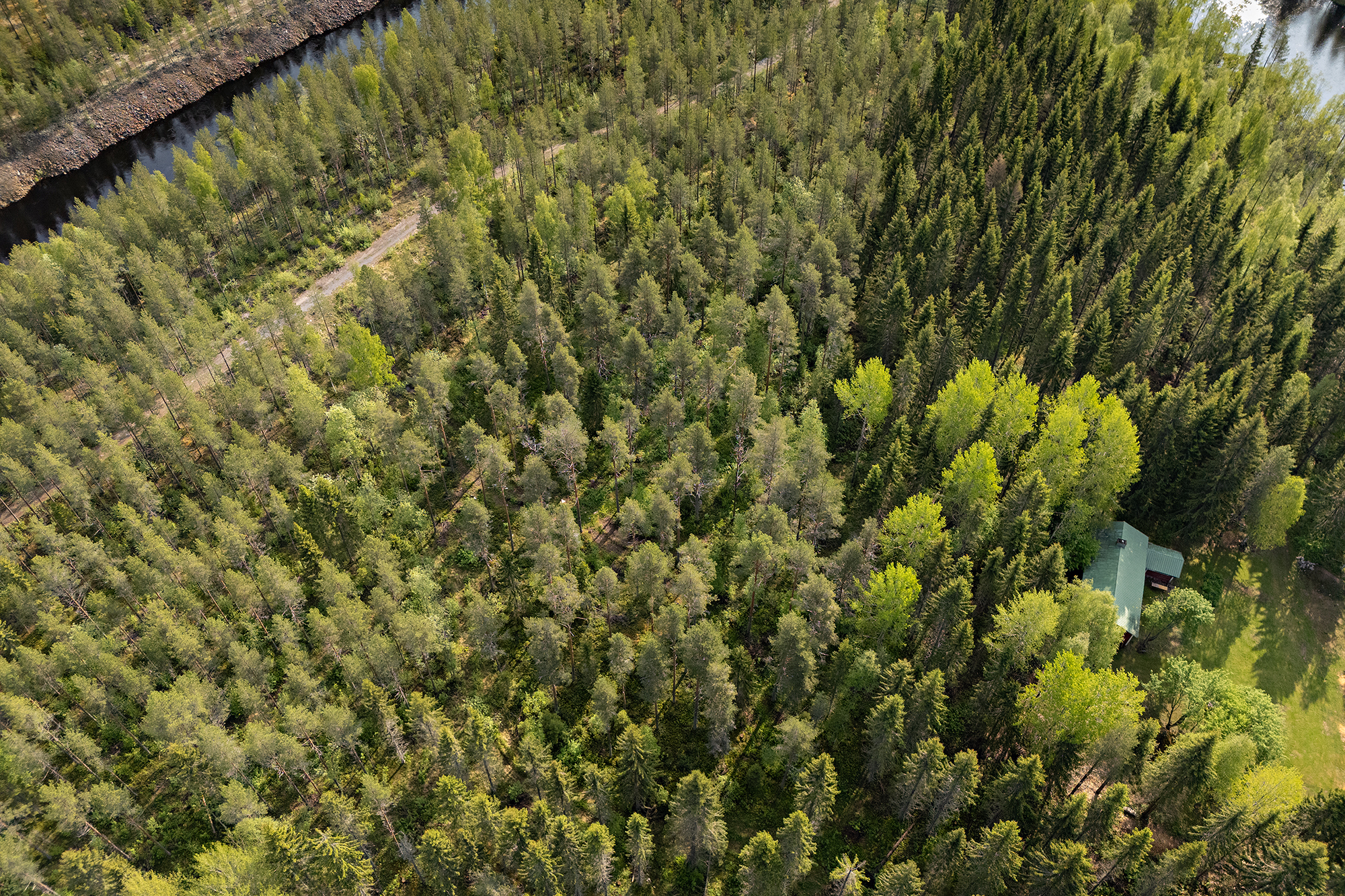 Ristiniementie 16, Sotkajärvi, Utajärvi