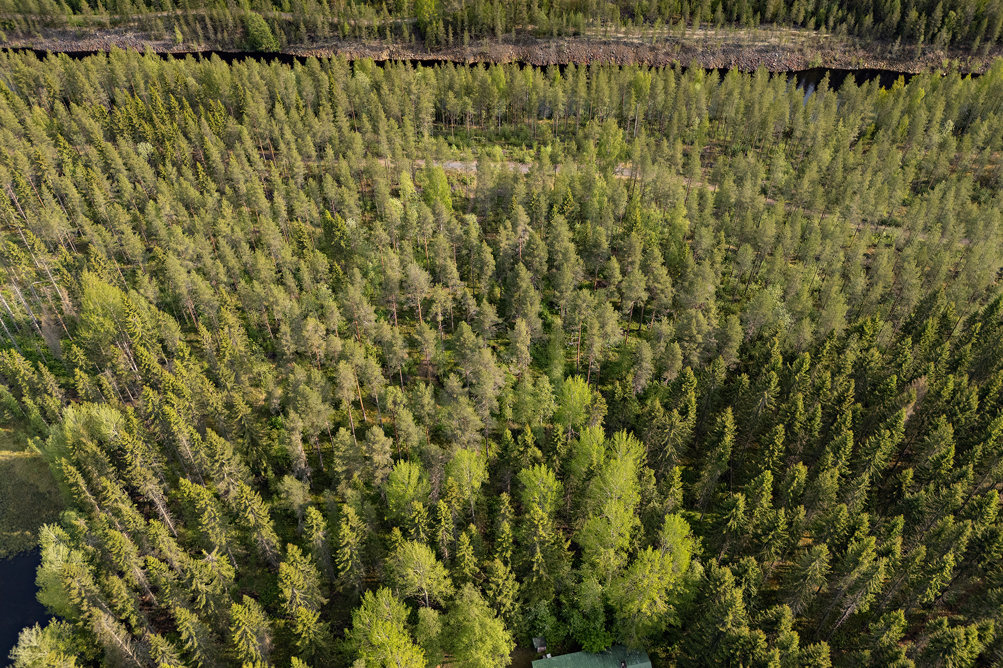 Ristiniementie 16, Sotkajärvi, Utajärvi