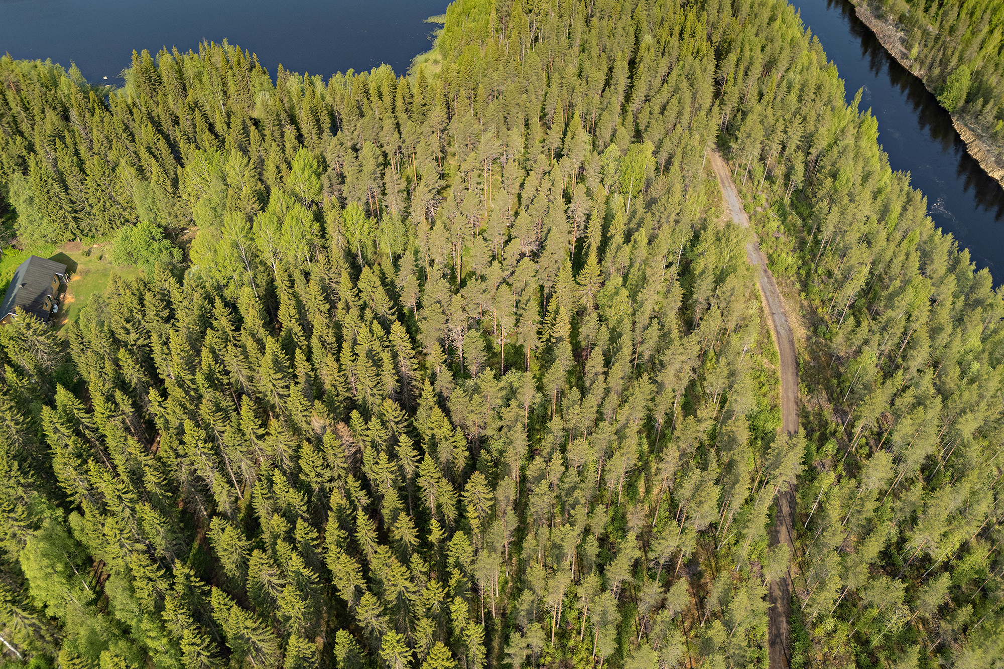 Ristiniementie 16, Sotkajärvi, Utajärvi