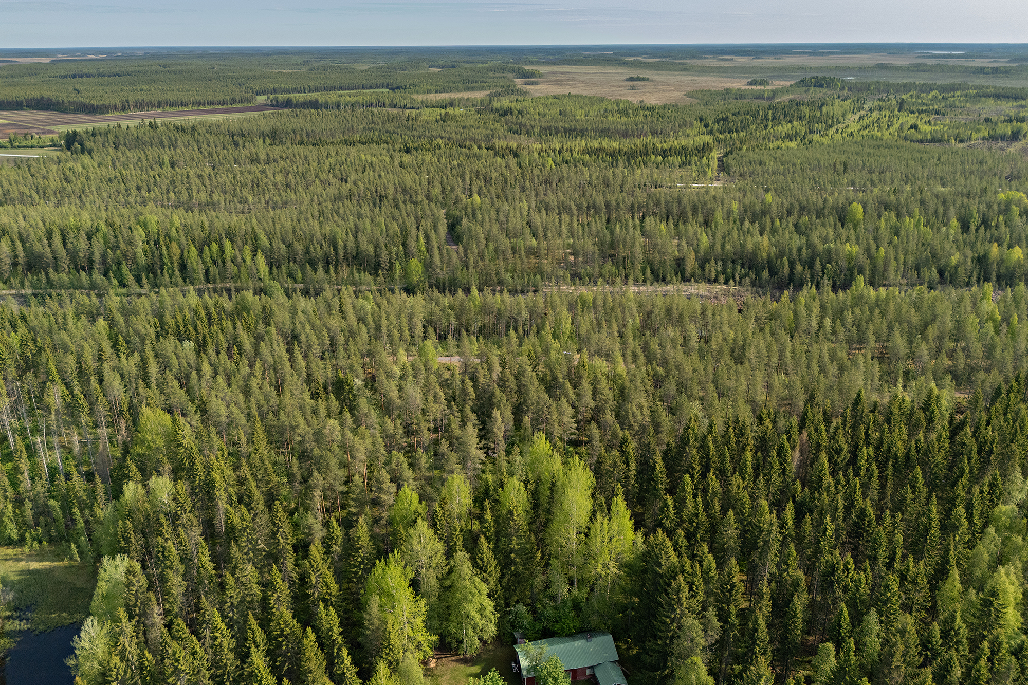 Ristiniementie 16, Sotkajärvi, Utajärvi