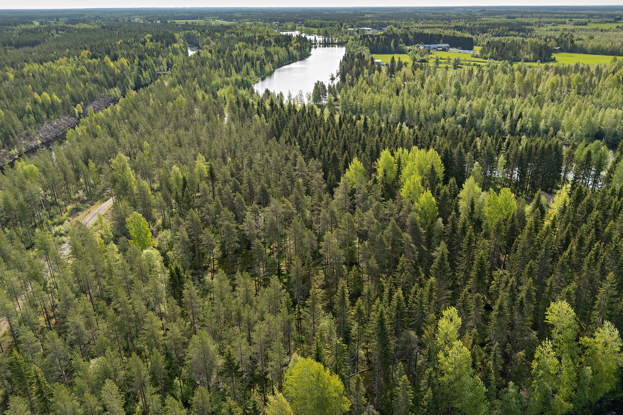 Ristiniementie 16, Sotkajärvi, Utajärvi