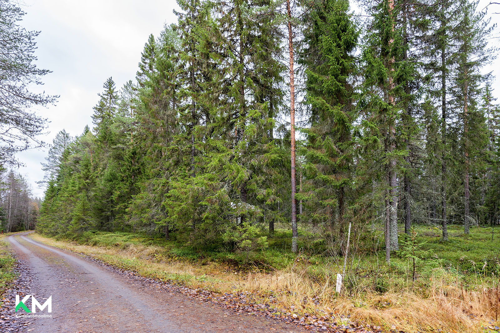 Tukkasotkantie 81, Heikinharju, Oulu