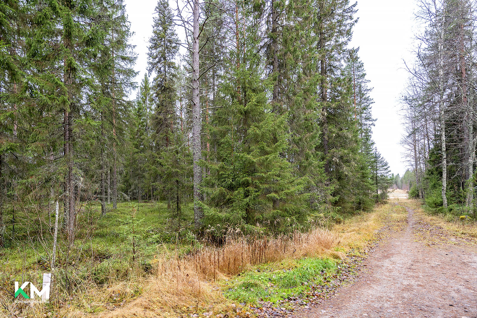 Tukkasotkantie 81, Heikinharju, Oulu