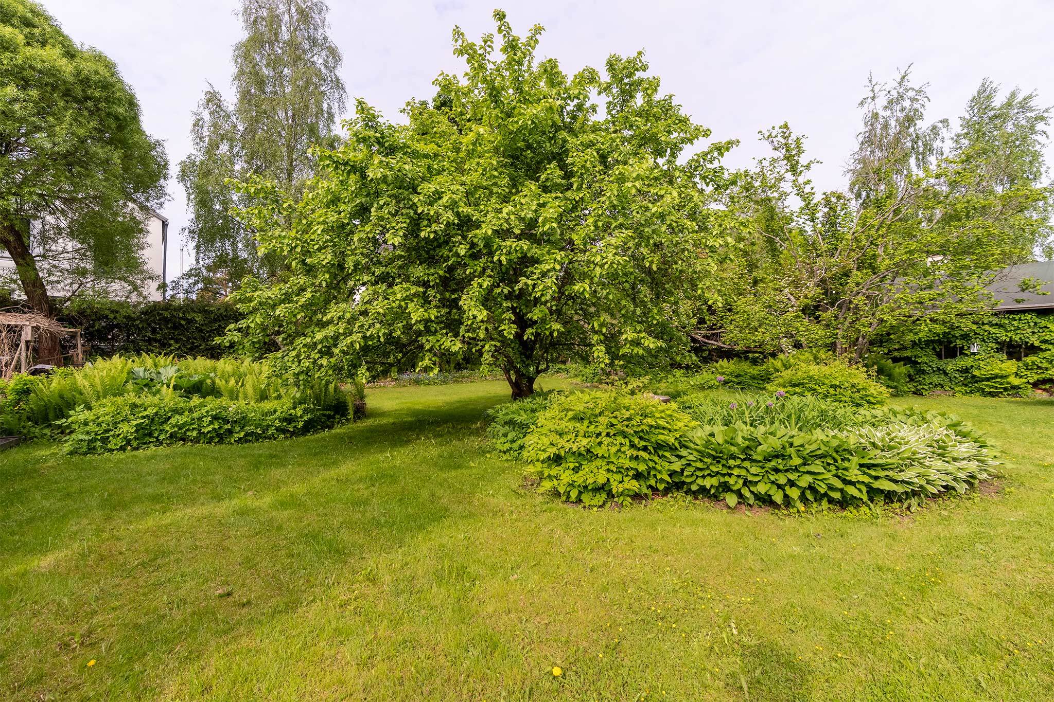Pitkäkallionkatu 8, Holvasti, Tampere