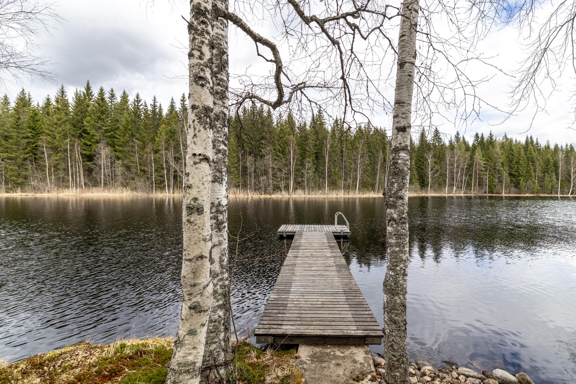 kevätkuva