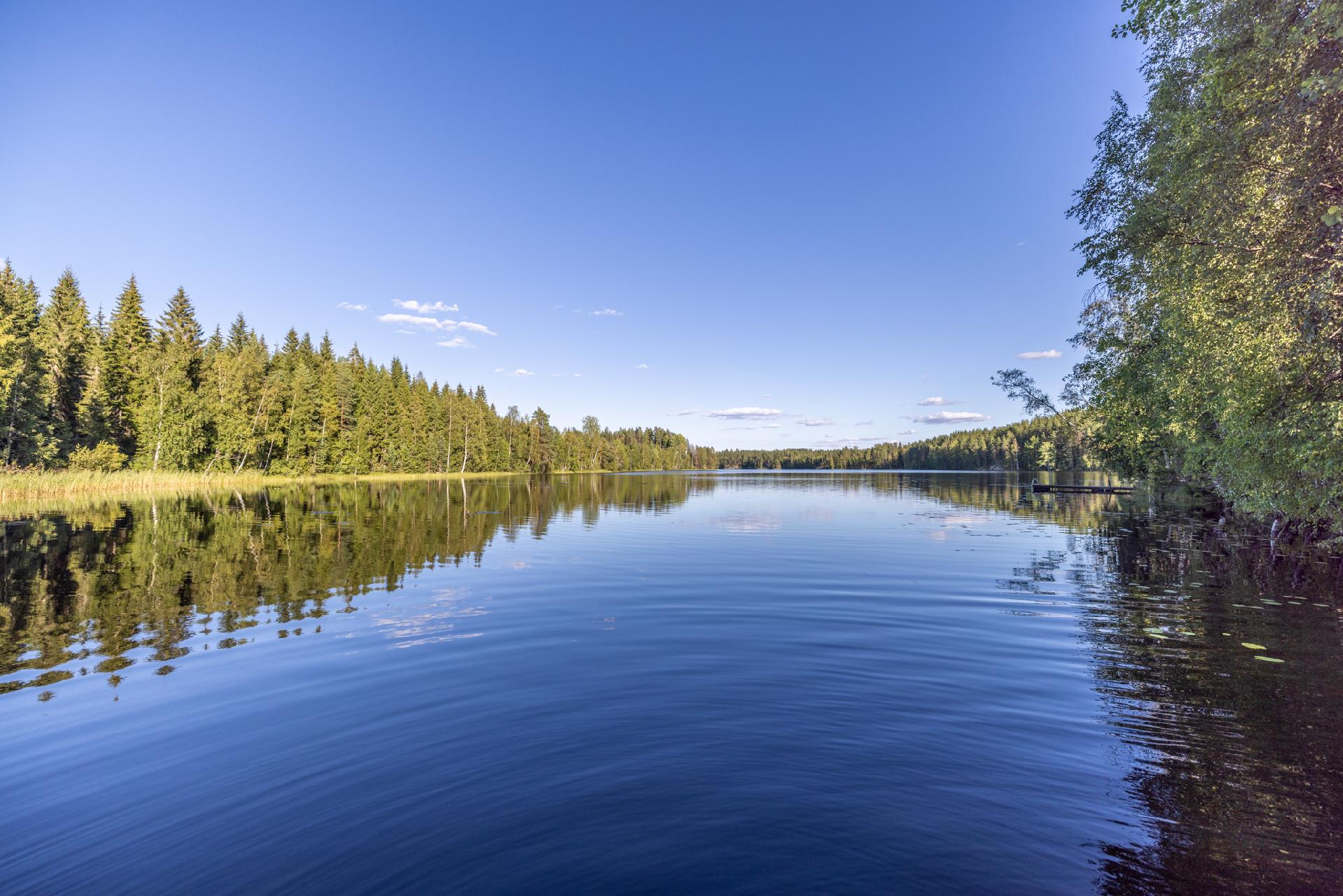 Puolukkaniementie 72, Ristiina, Mikkeli