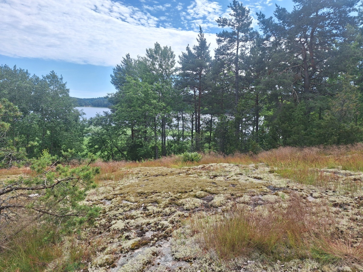 Trollshovdantie 936 C, Trollshovda, Raasepori