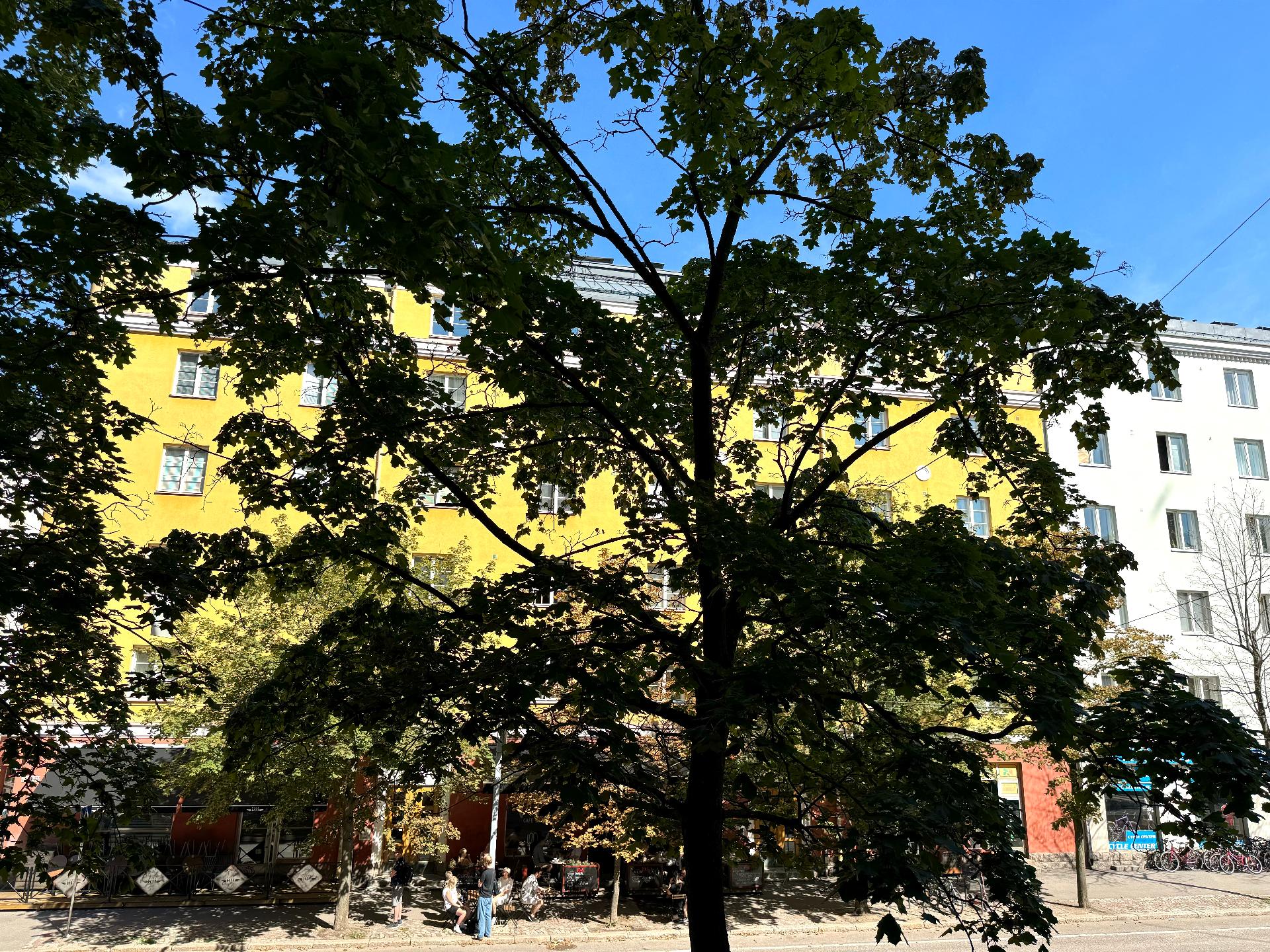 Kesällä vehreät näkymät