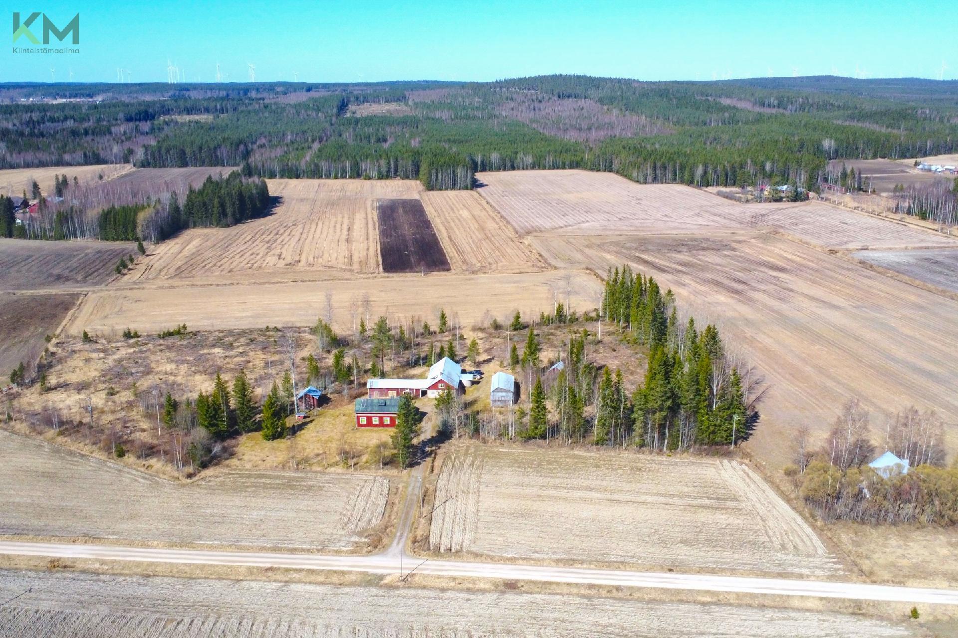 Häjyluomantie 102, Mieto, Kurikka