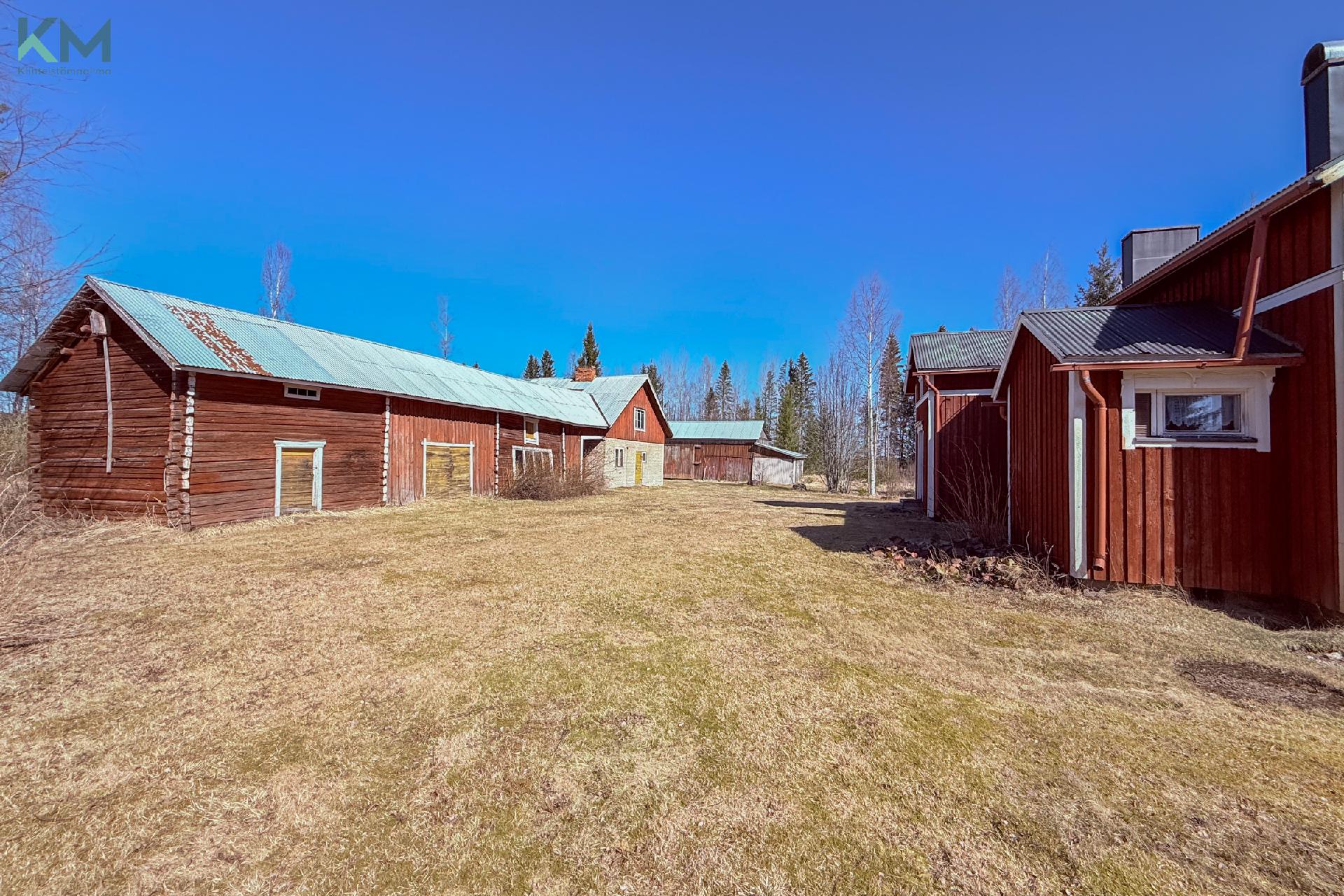 Häjyluomantie 102, Mieto, Kurikka