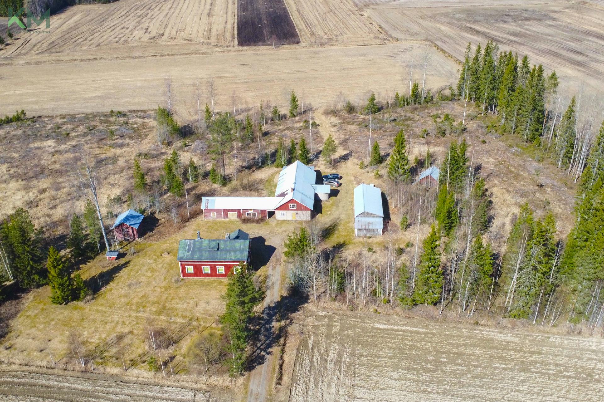 Häjyluomantie 102, Mieto, Kurikka