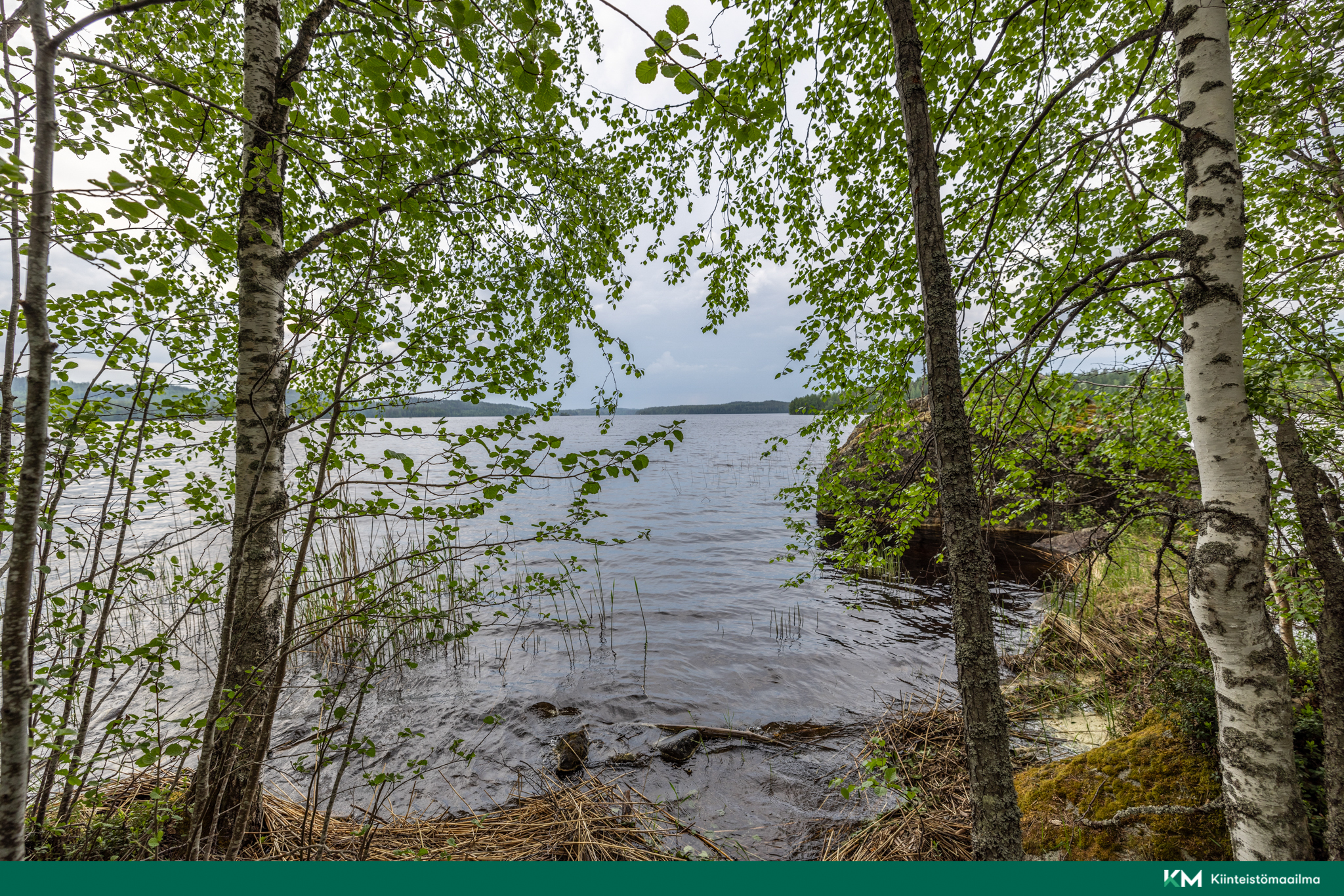 kuva 5 järvelle
