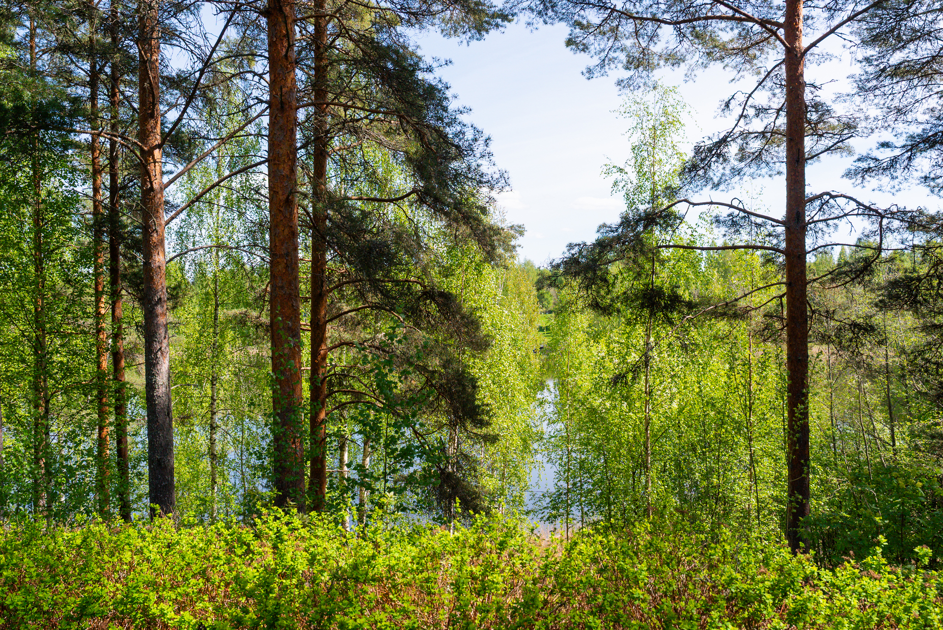 Talaspolku 5, Luhanka, Luhanka
