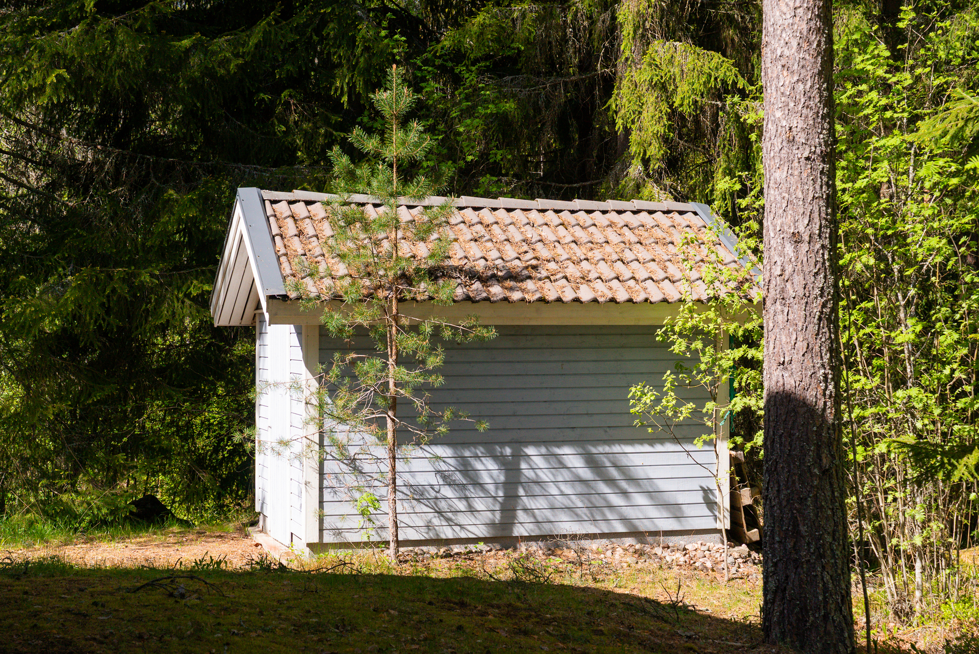 Talaspolku 5, Luhanka, Luhanka