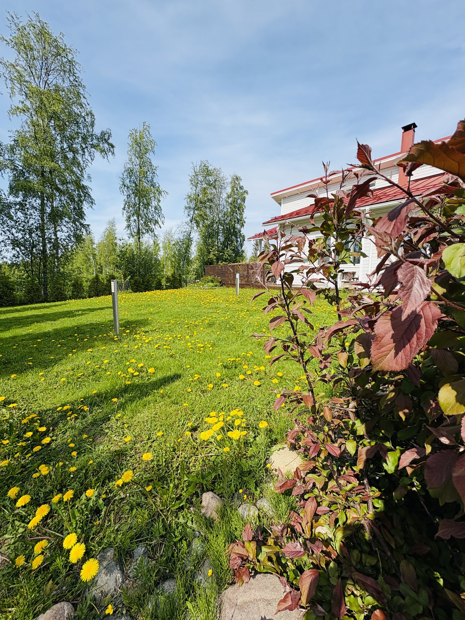 Myyjän kesäkuvia 2025