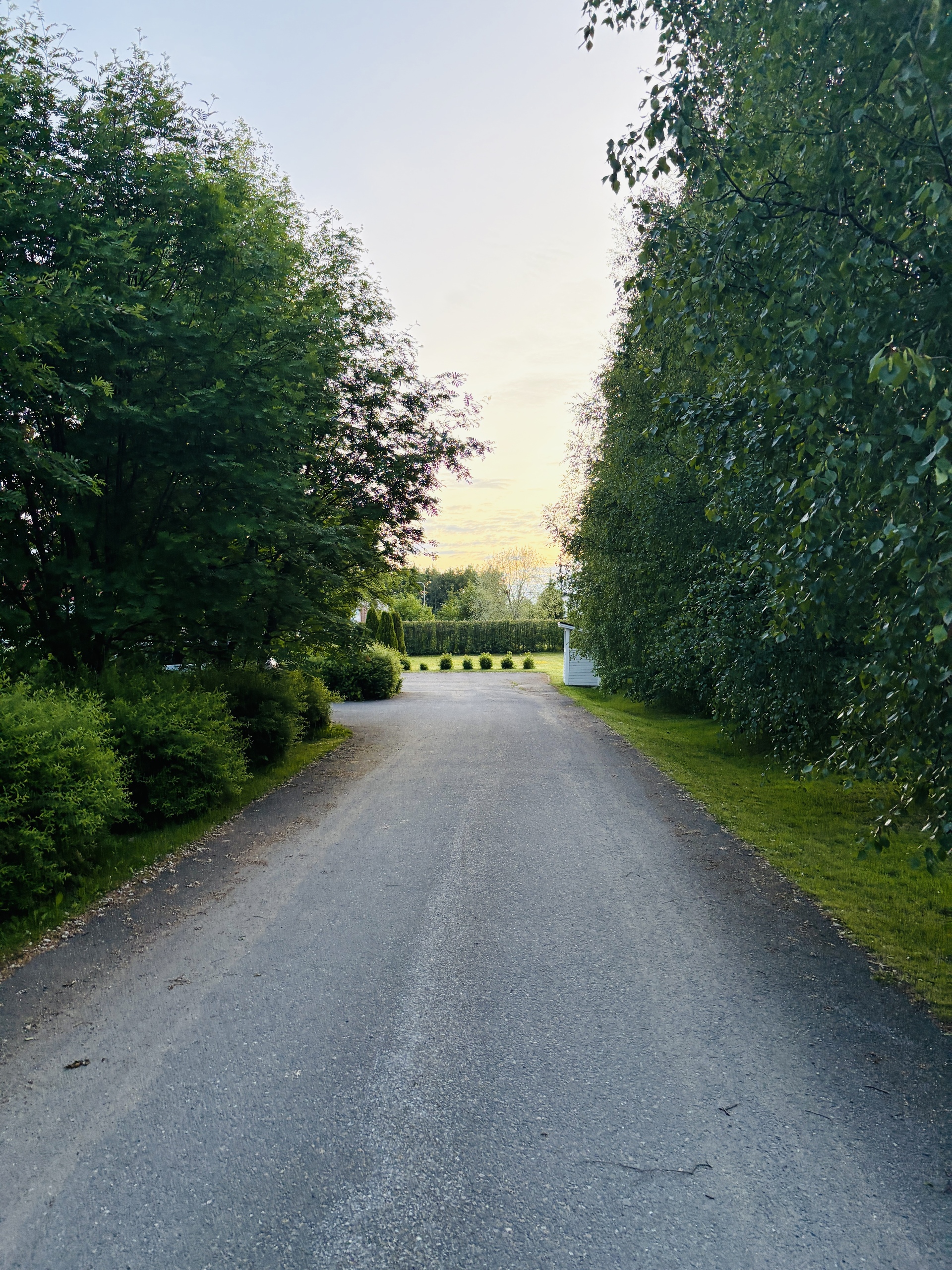 Myyjän kesäkuvia 2025