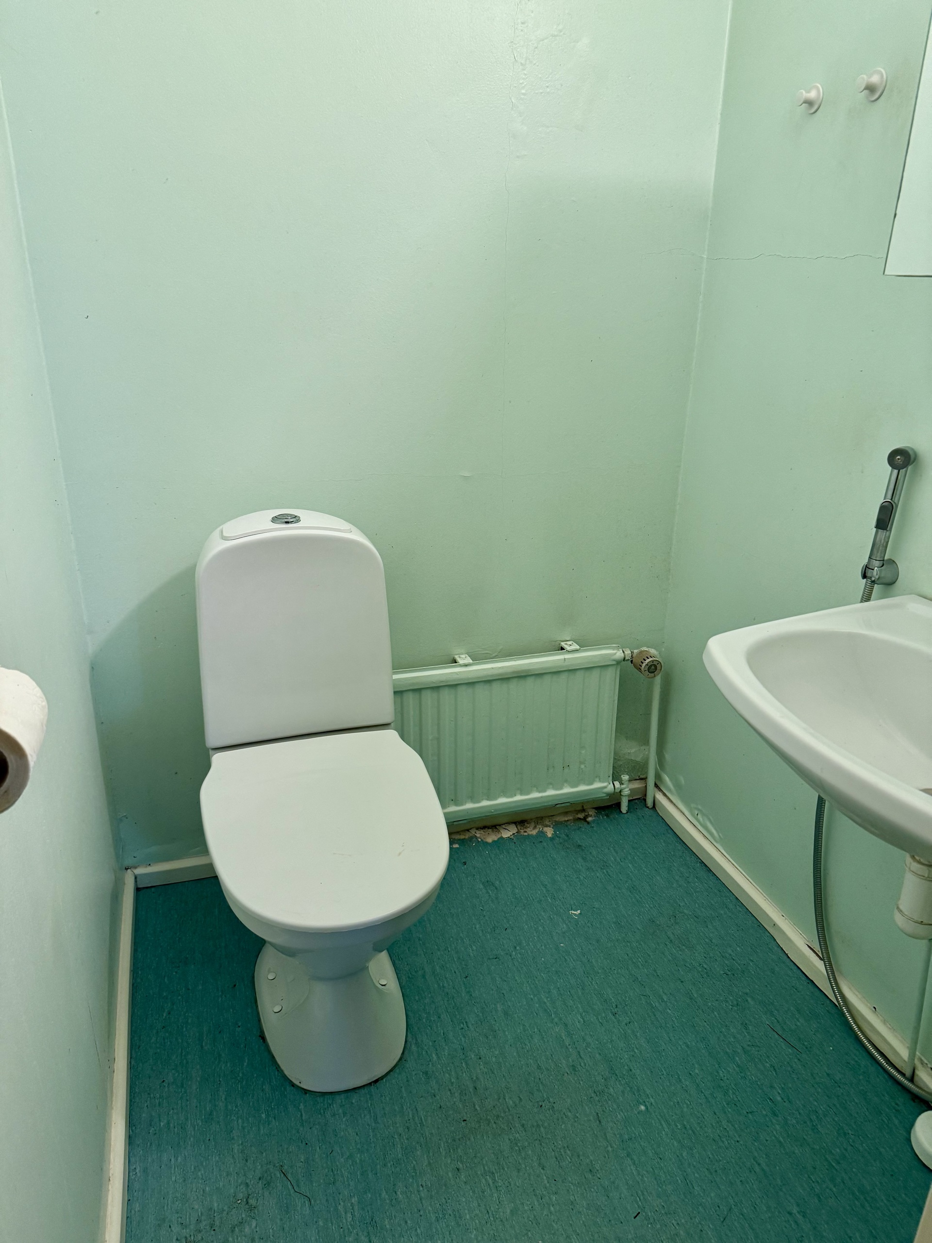 Alakerran erillinen wc